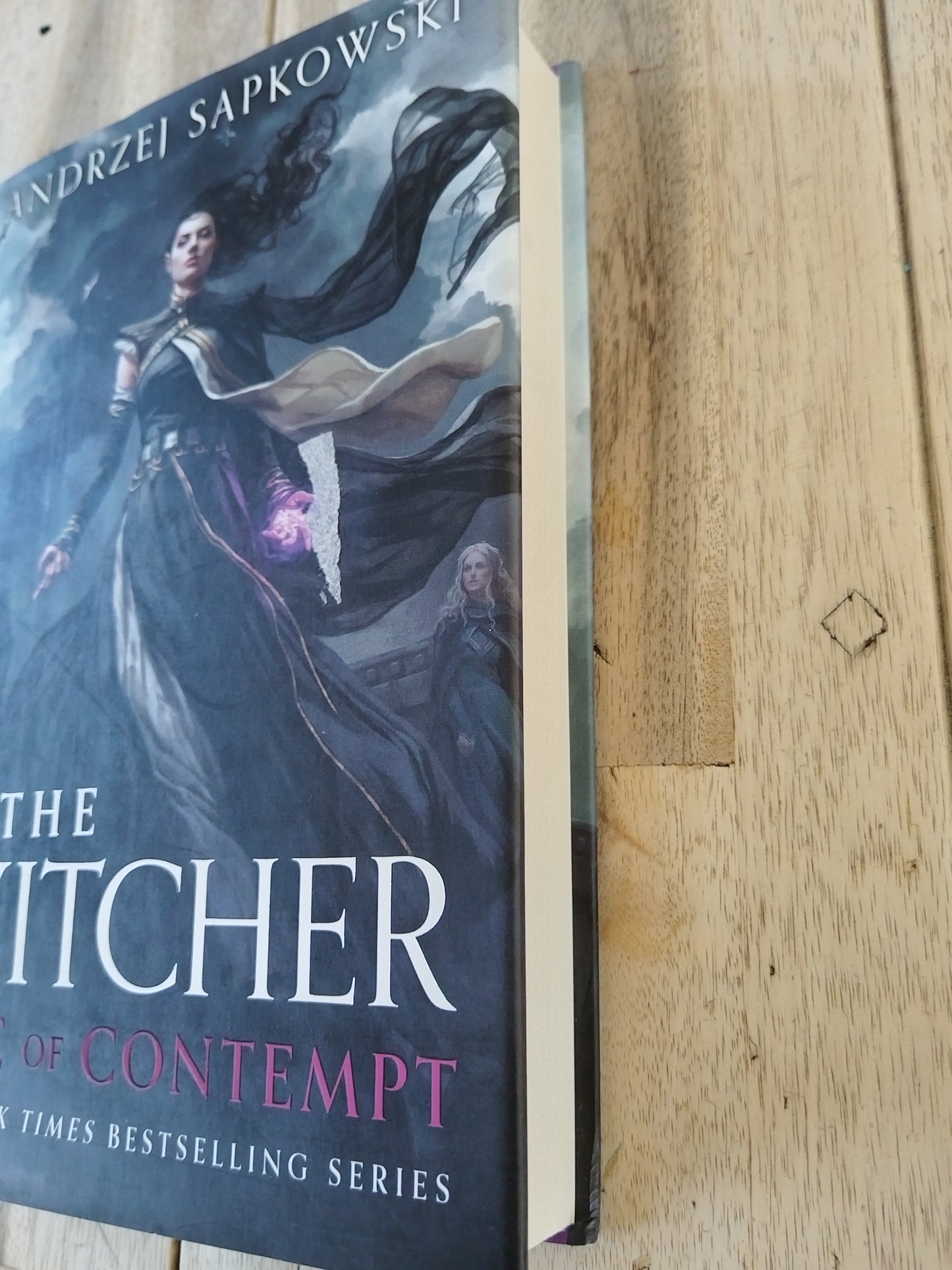 The Witcher Time Of Contempt Andrzej Sapkowski