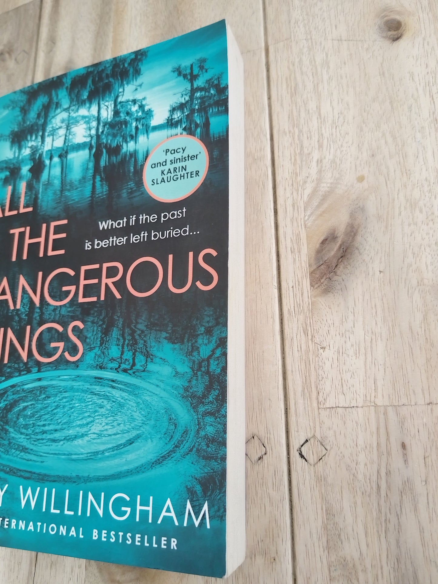 All The Dangerous Things Stacy Willingham