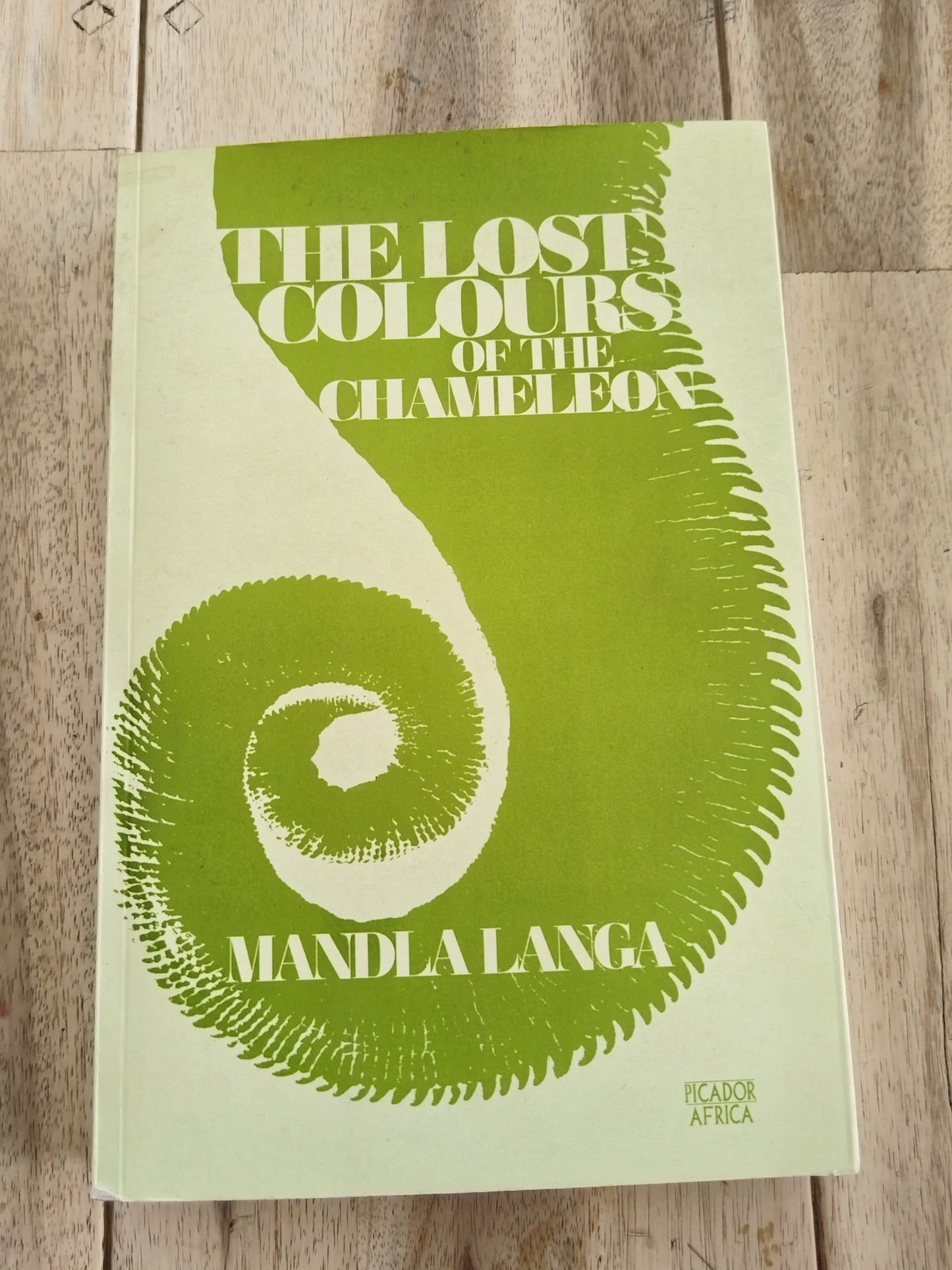 The Lost Colours Of The Chameleon Mandela Langa