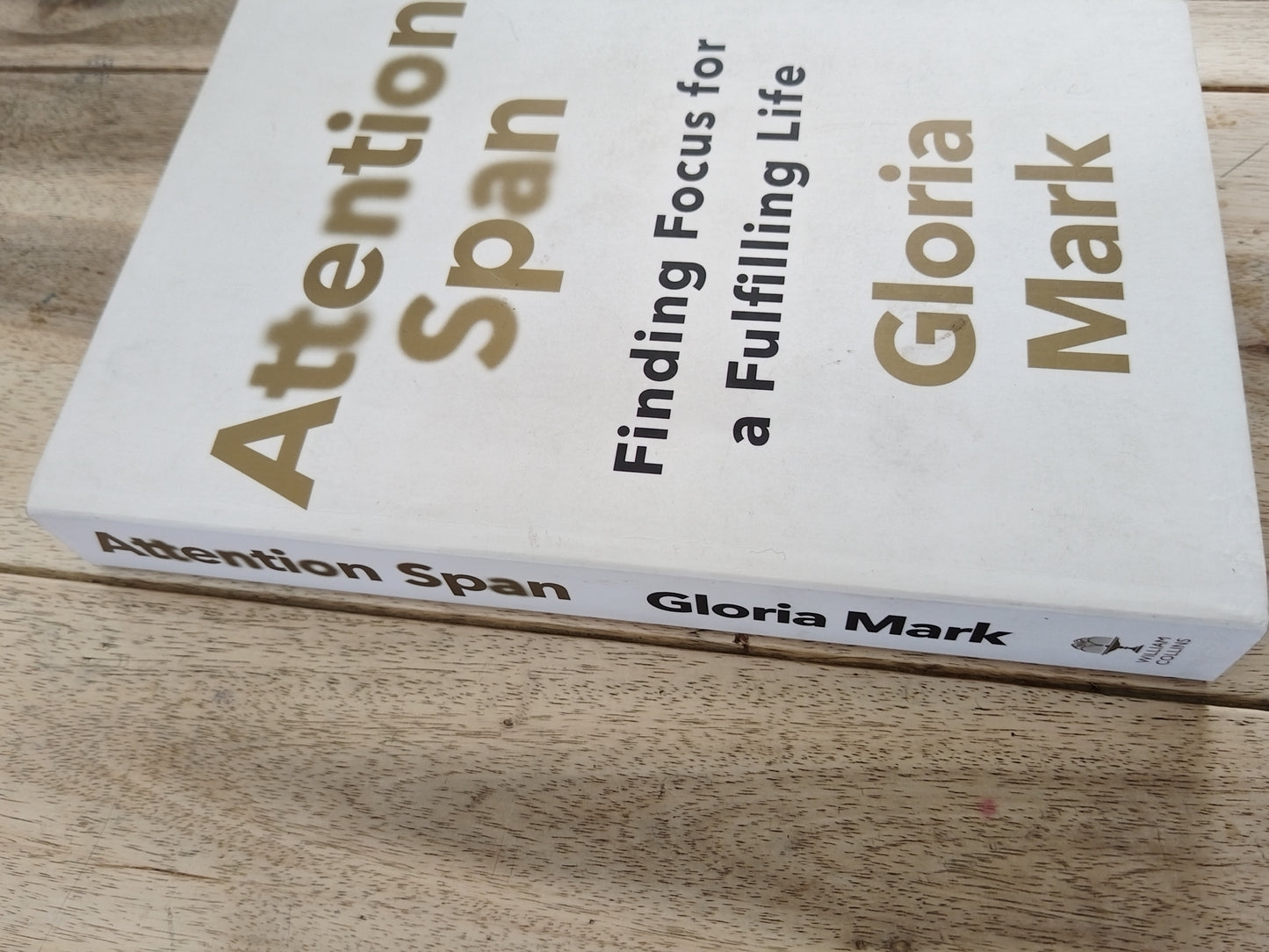 Attention Span Gloria Mark