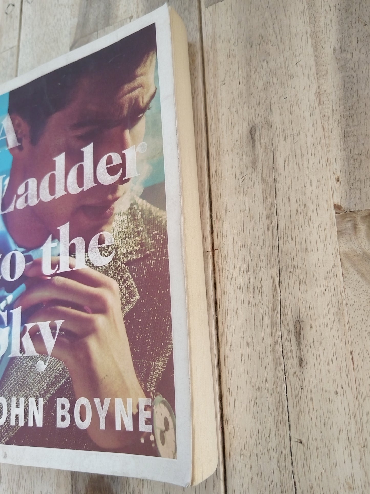 A Ladder to the Sky John Boyen