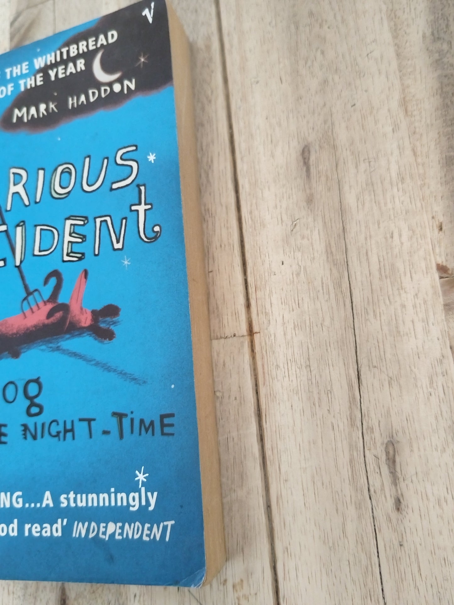 The curios incident of the dog in the night time Mark Haddon