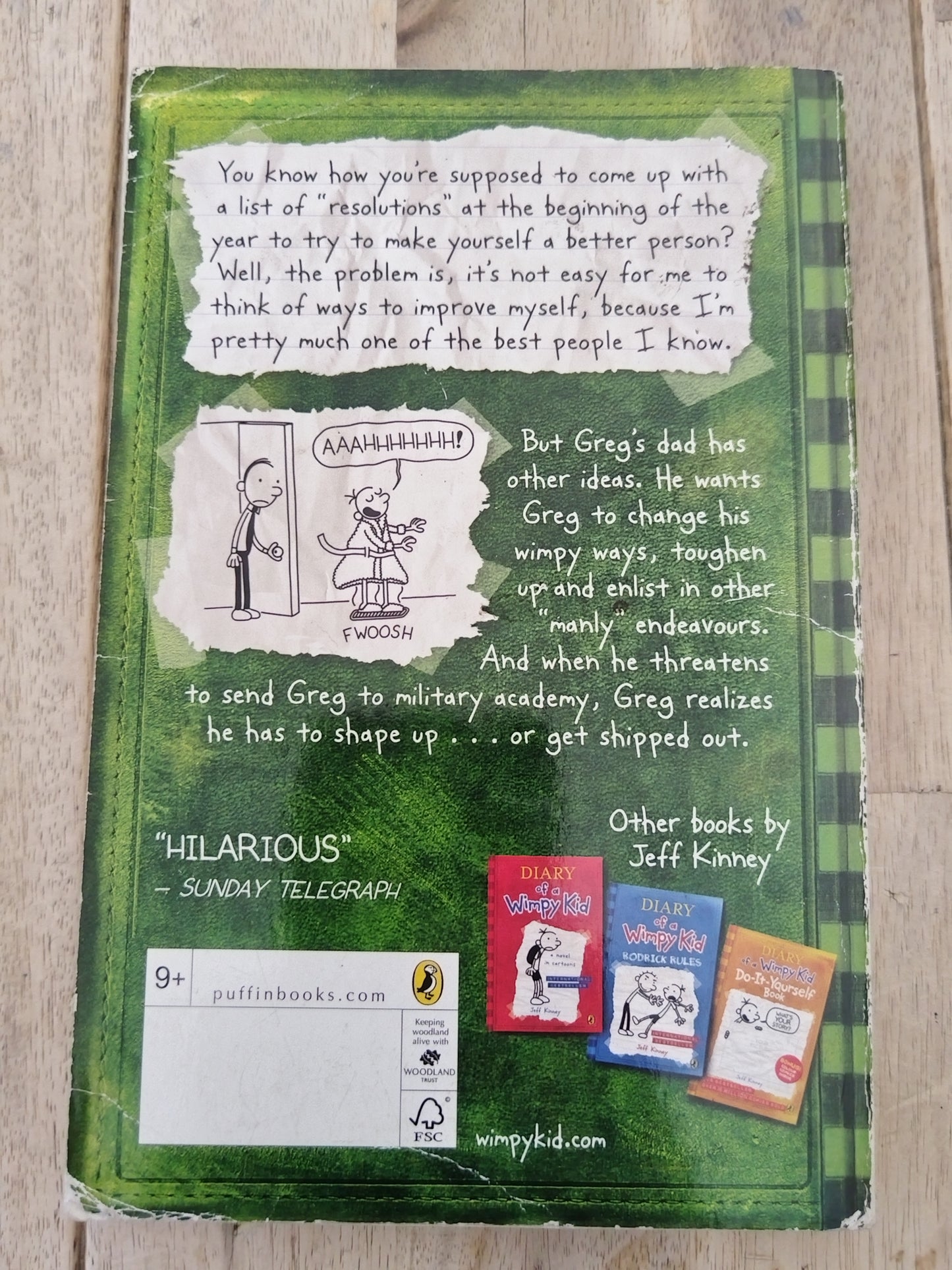 Diary of a Wimpy Kid The Last Straw