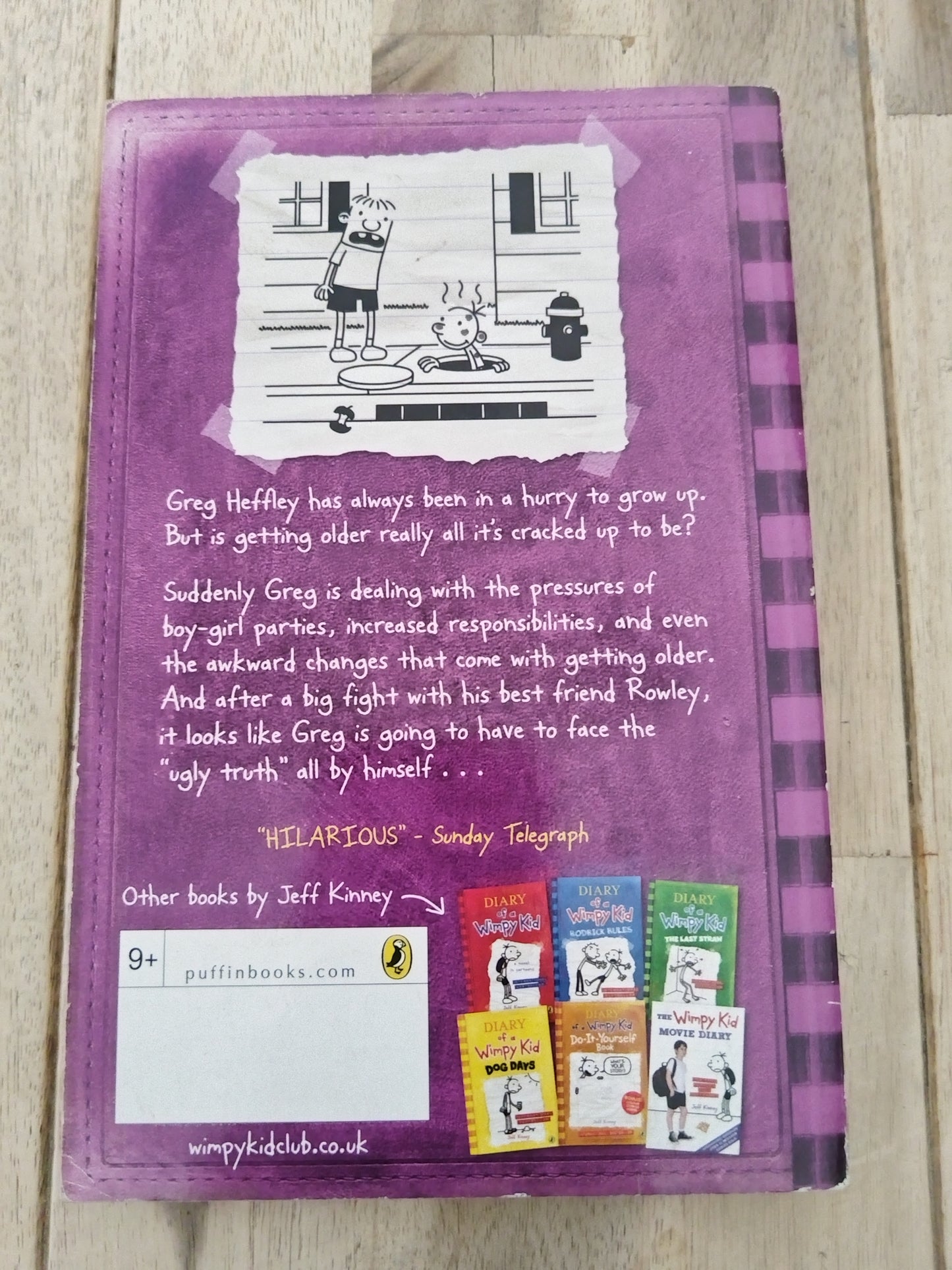 Diary of a Wimpy Kid The Ugly Truth