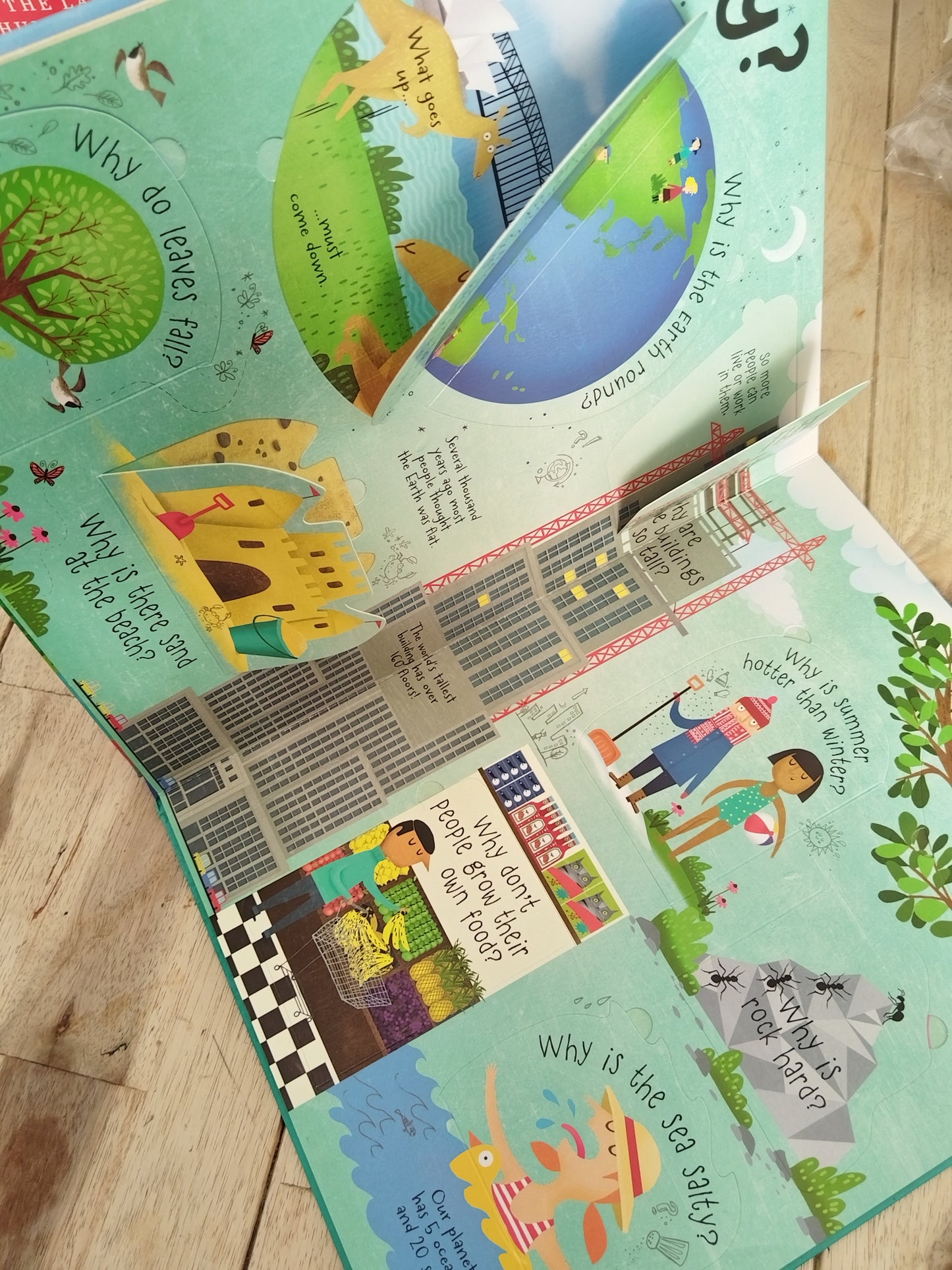 Usborne Lift The Flap Questions And Answers About The Word