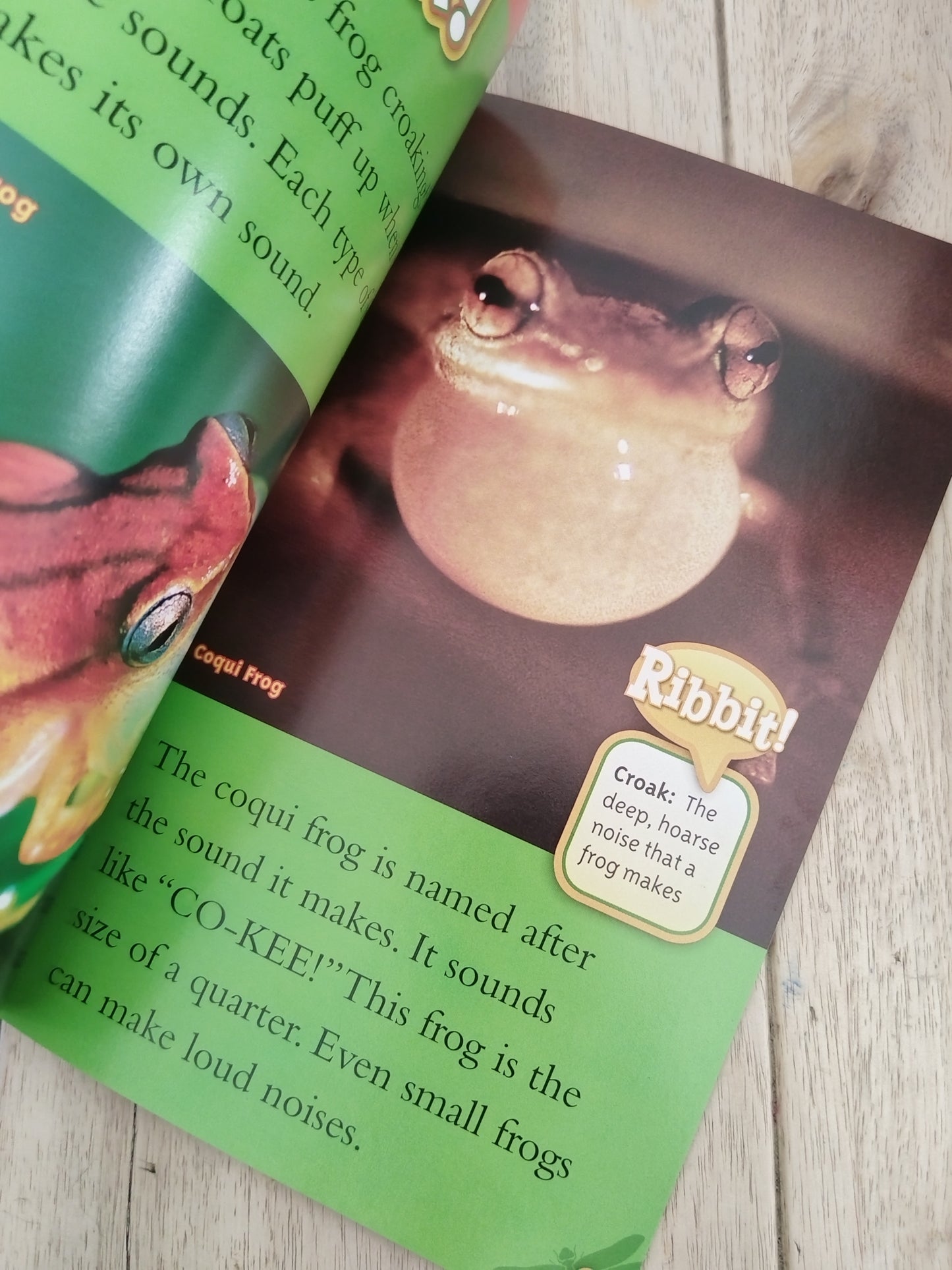 National Geographic Kids Frogs