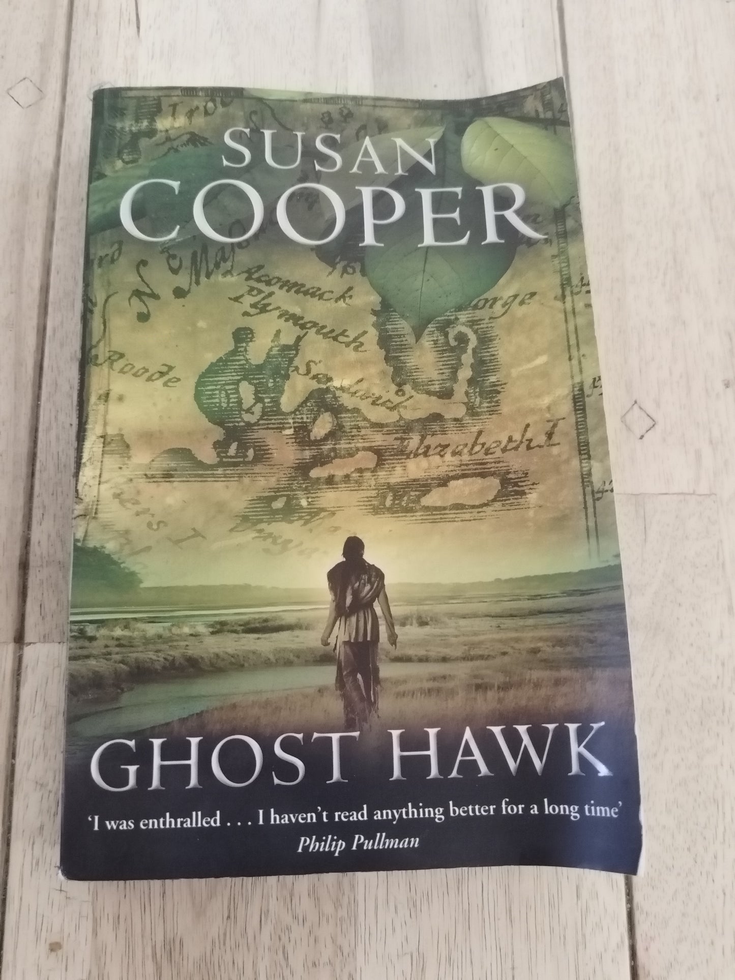 Ghost Hawk Susan Cooper