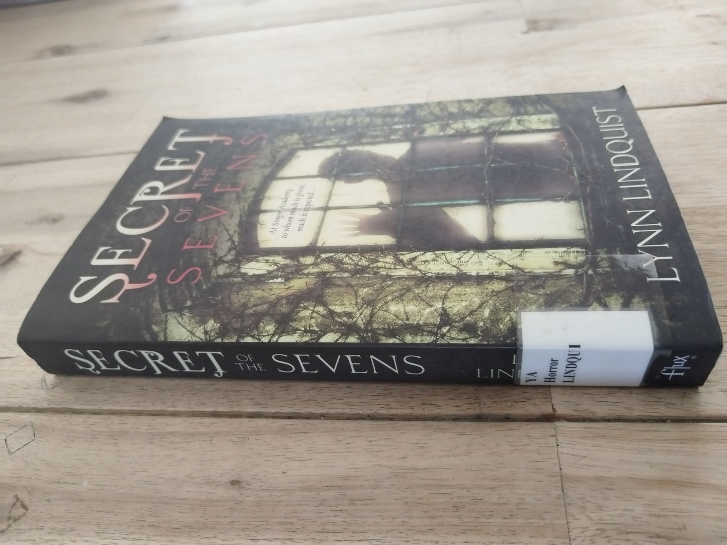 Secret Of The Sevens Lynn Lindquist