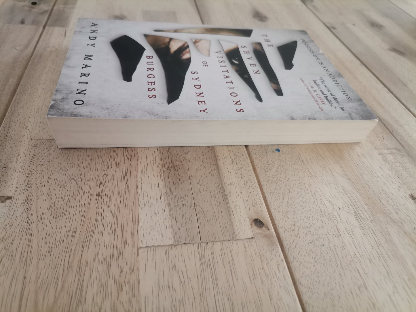 The Seven Visitations of Sydney Burgess – Andy Marino