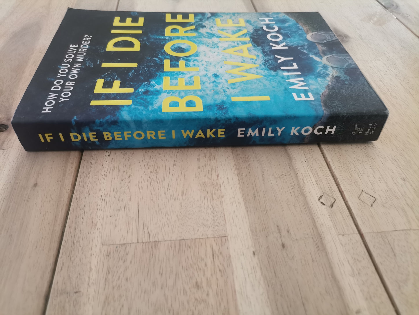 If I Die Before I Wake by Emily Koch