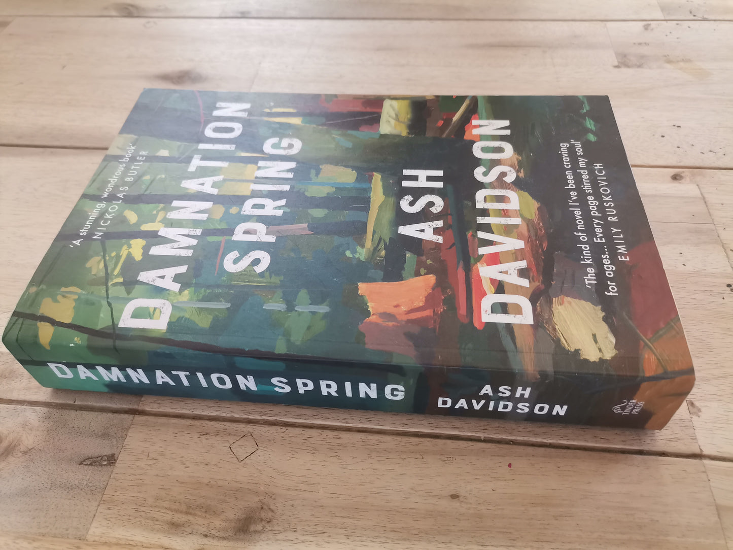Damnation Spring by Ash Davidson
