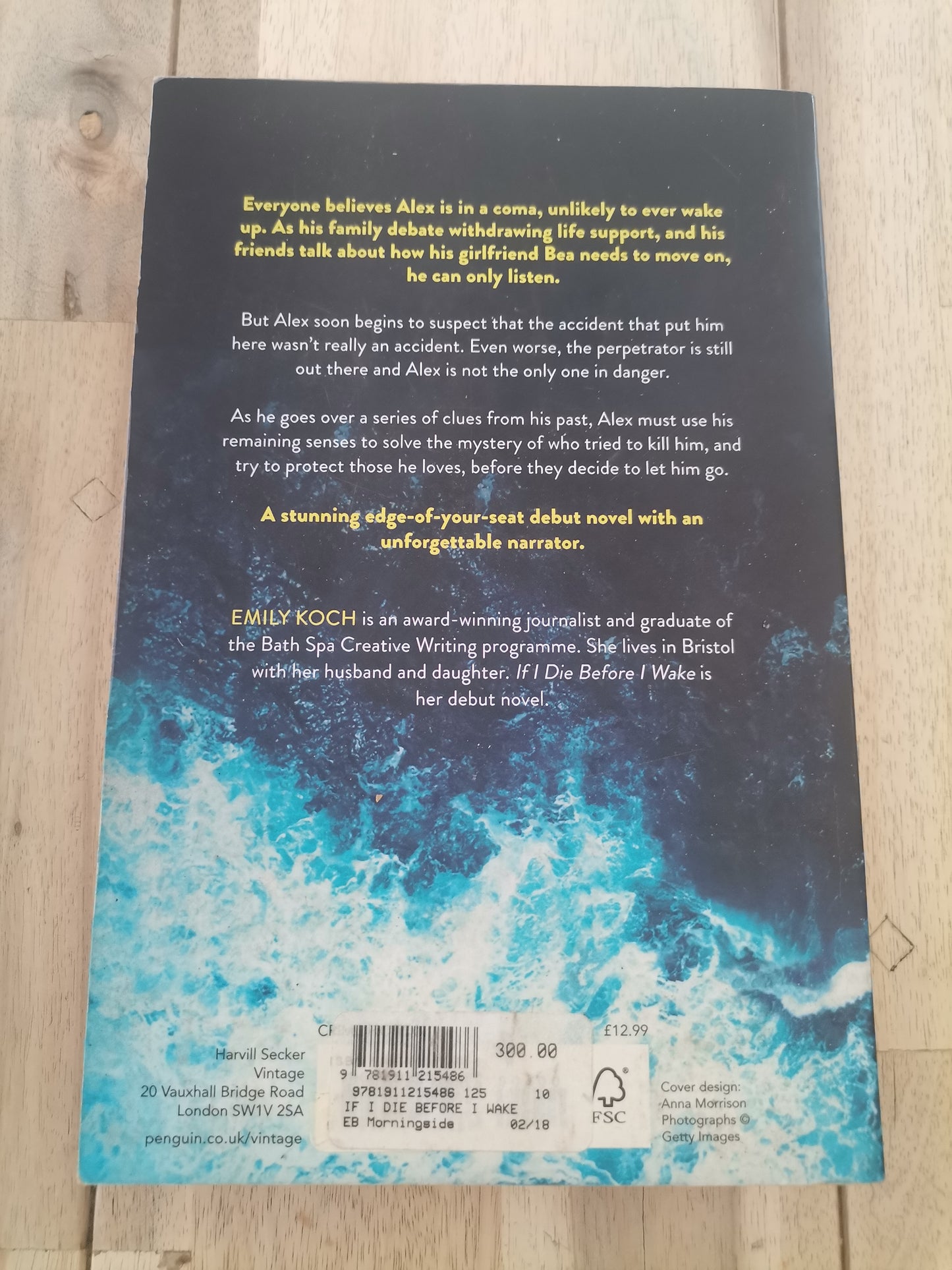 If I Die Before I Wake by Emily Koch