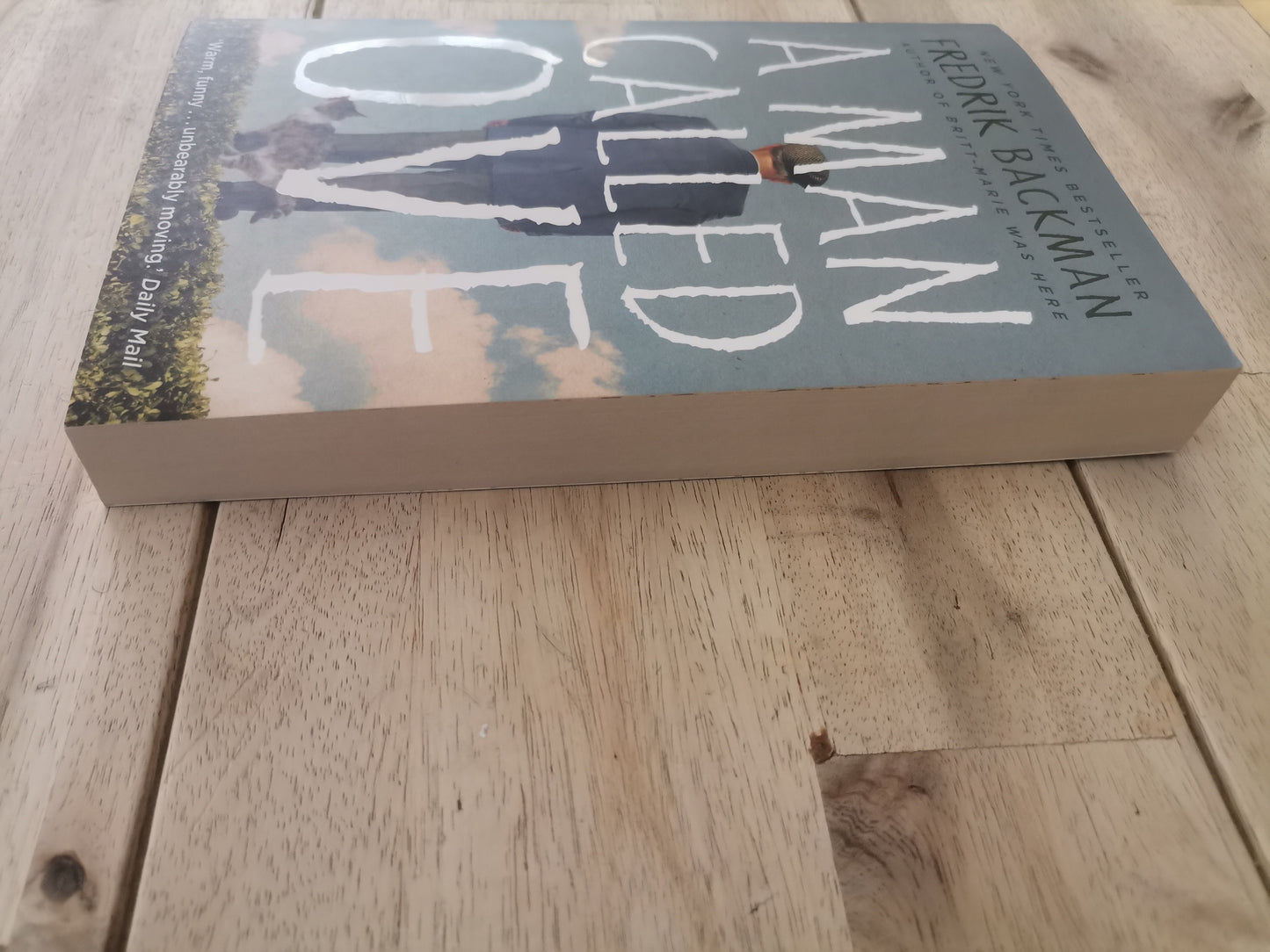 A Man Called Ove by Fredrik Backman