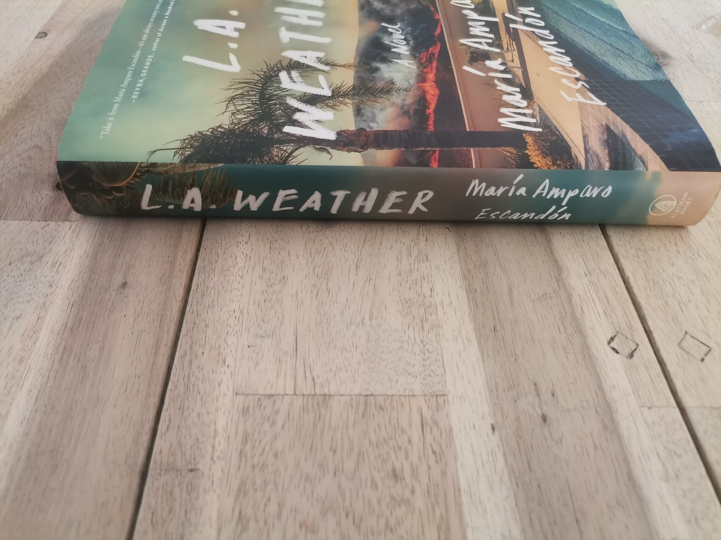 L.A. Weather by María Amparo Escandón