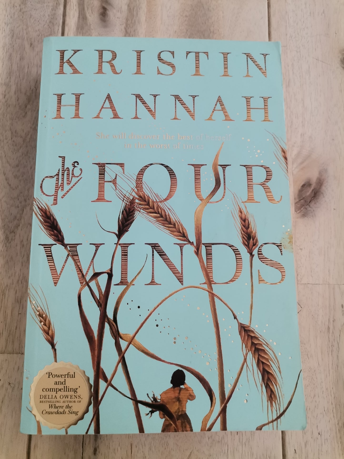 Four Winds by Kristin Hannah