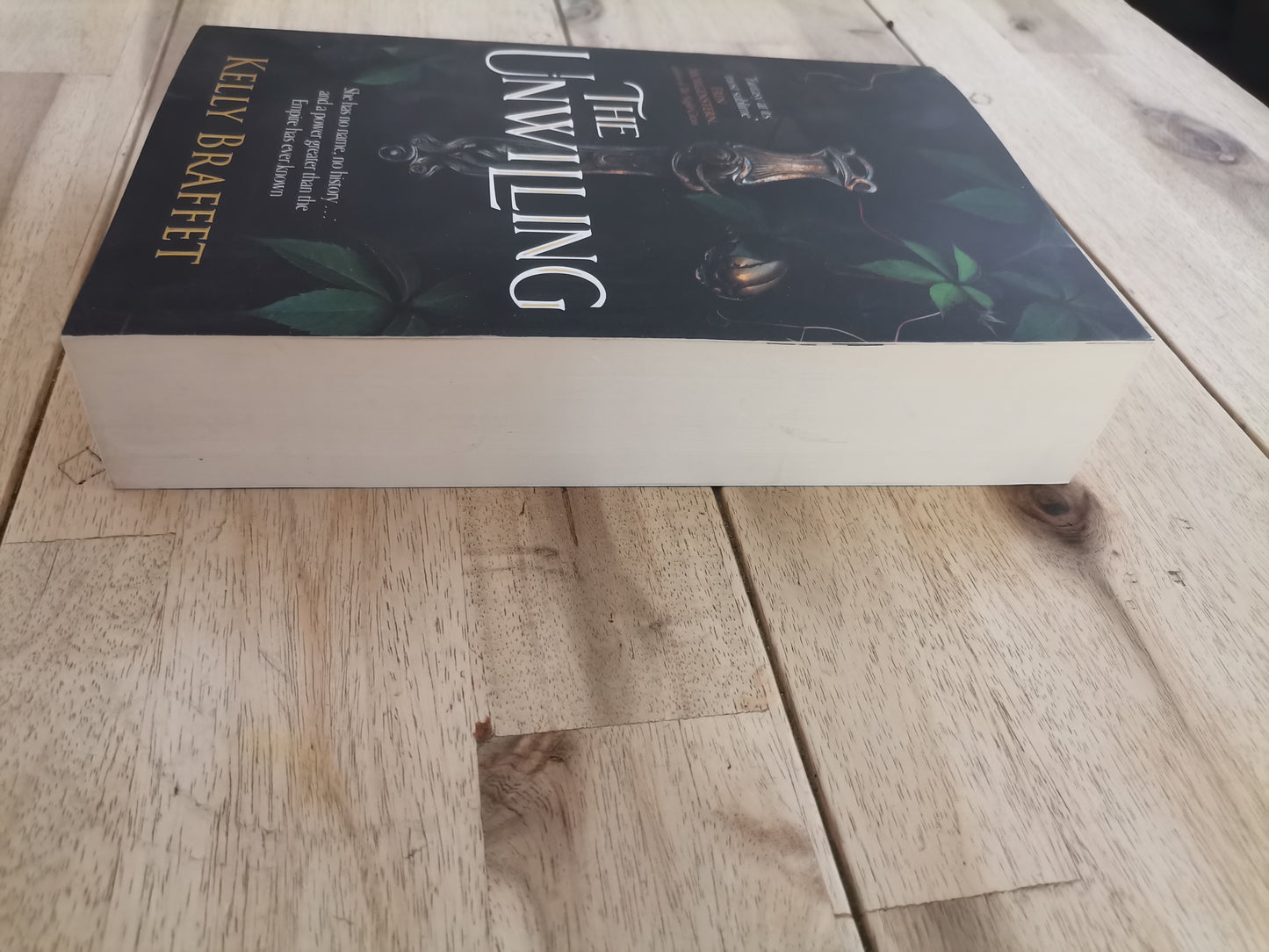 The Unwilling – Kelly Braffet