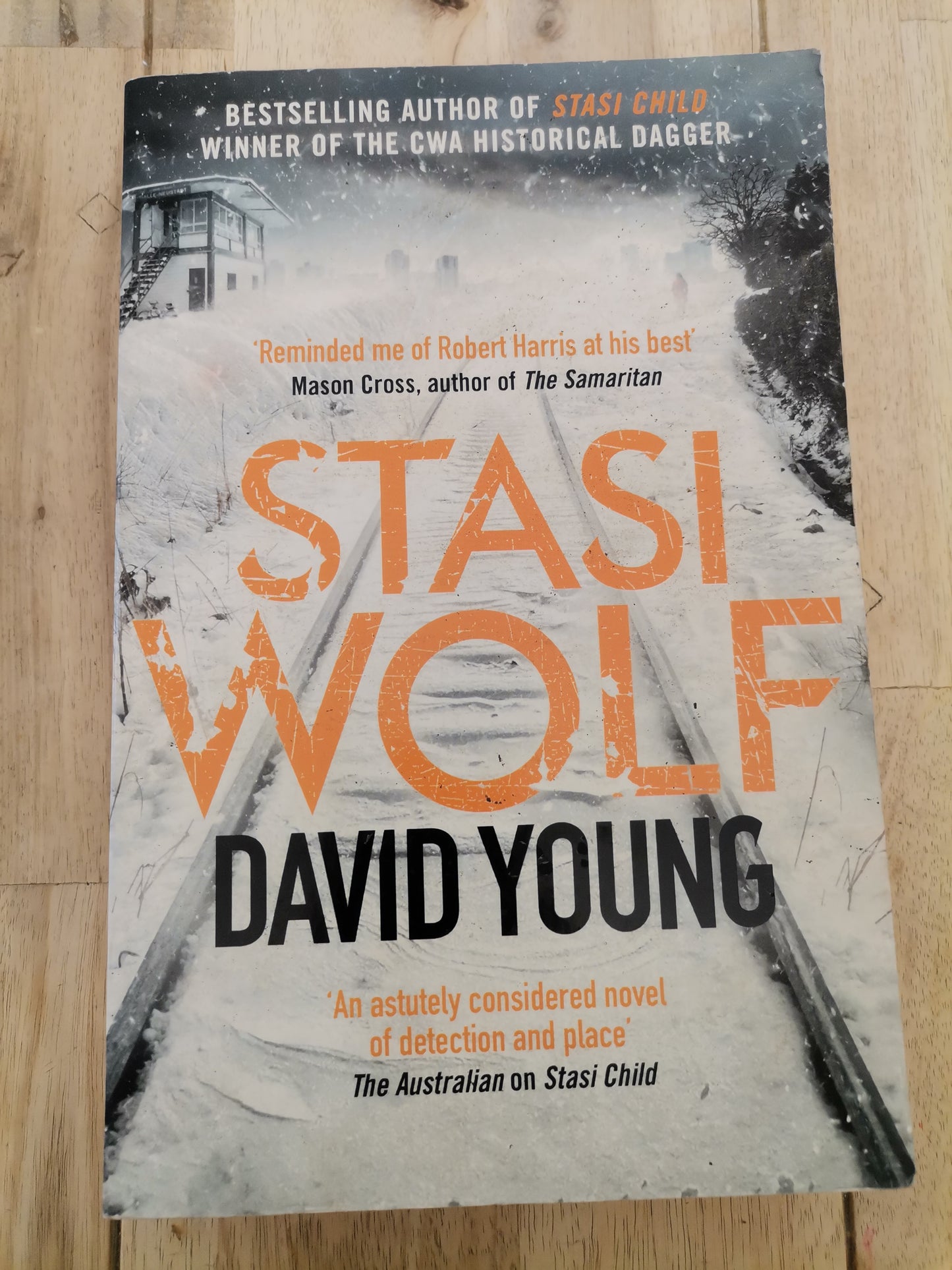 Staci Wolf David Young