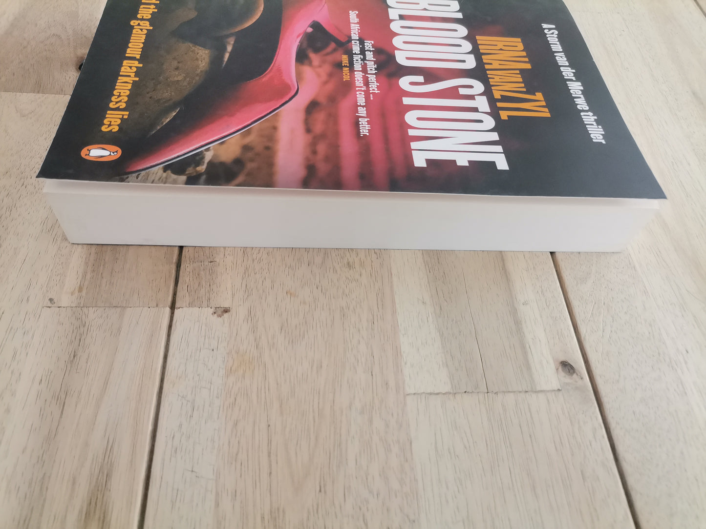 Blood Stone by Irna Van Zyl