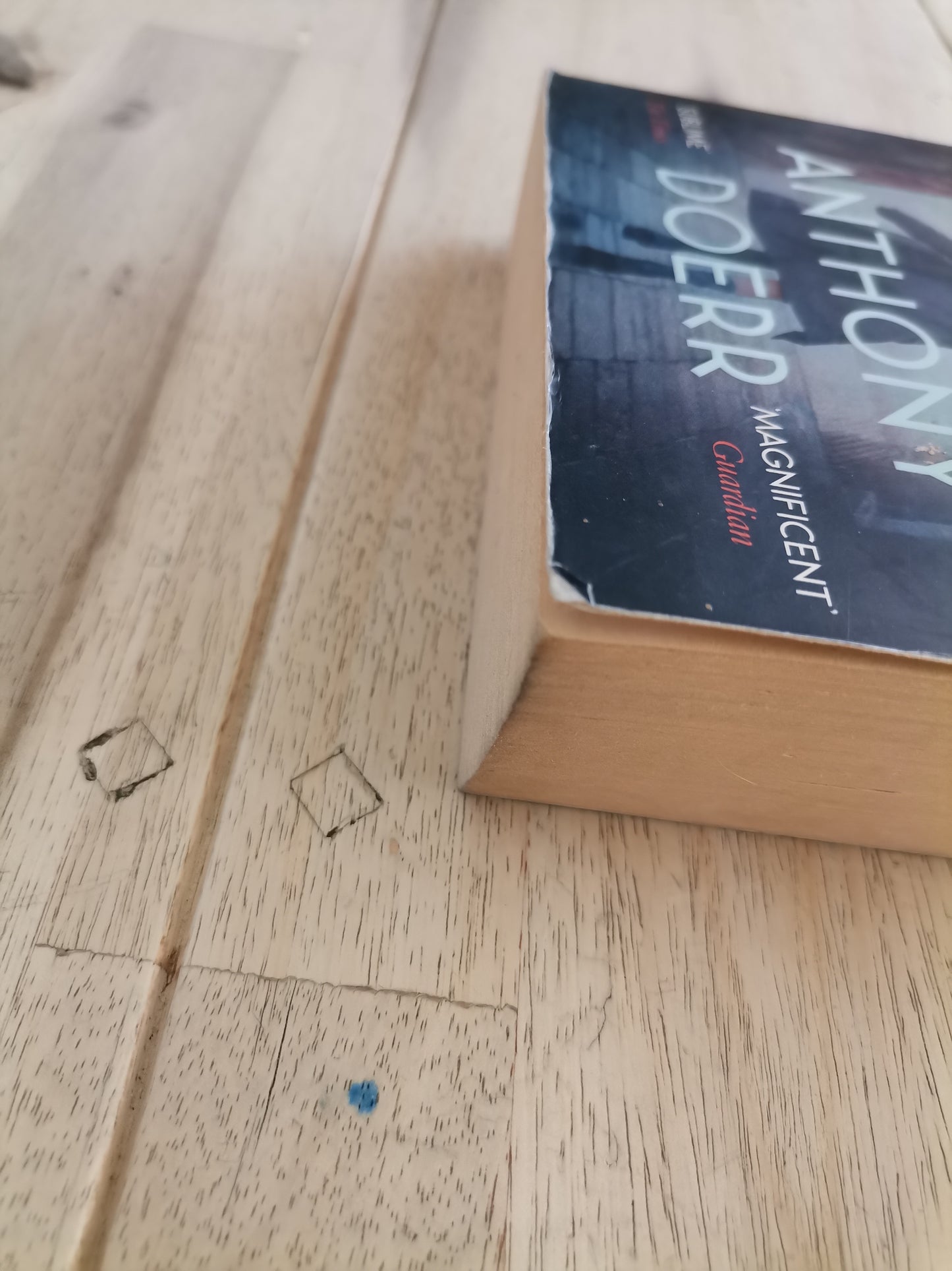 All the Light We Cannot See – Anthony Doerr