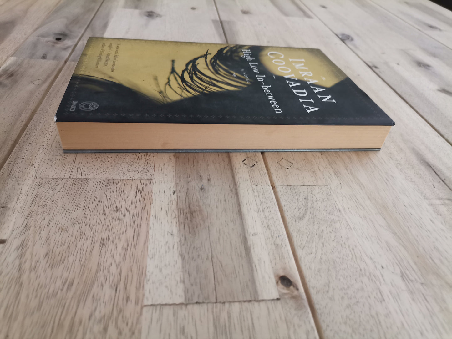 High Low In-Between – Imraan Coovadia