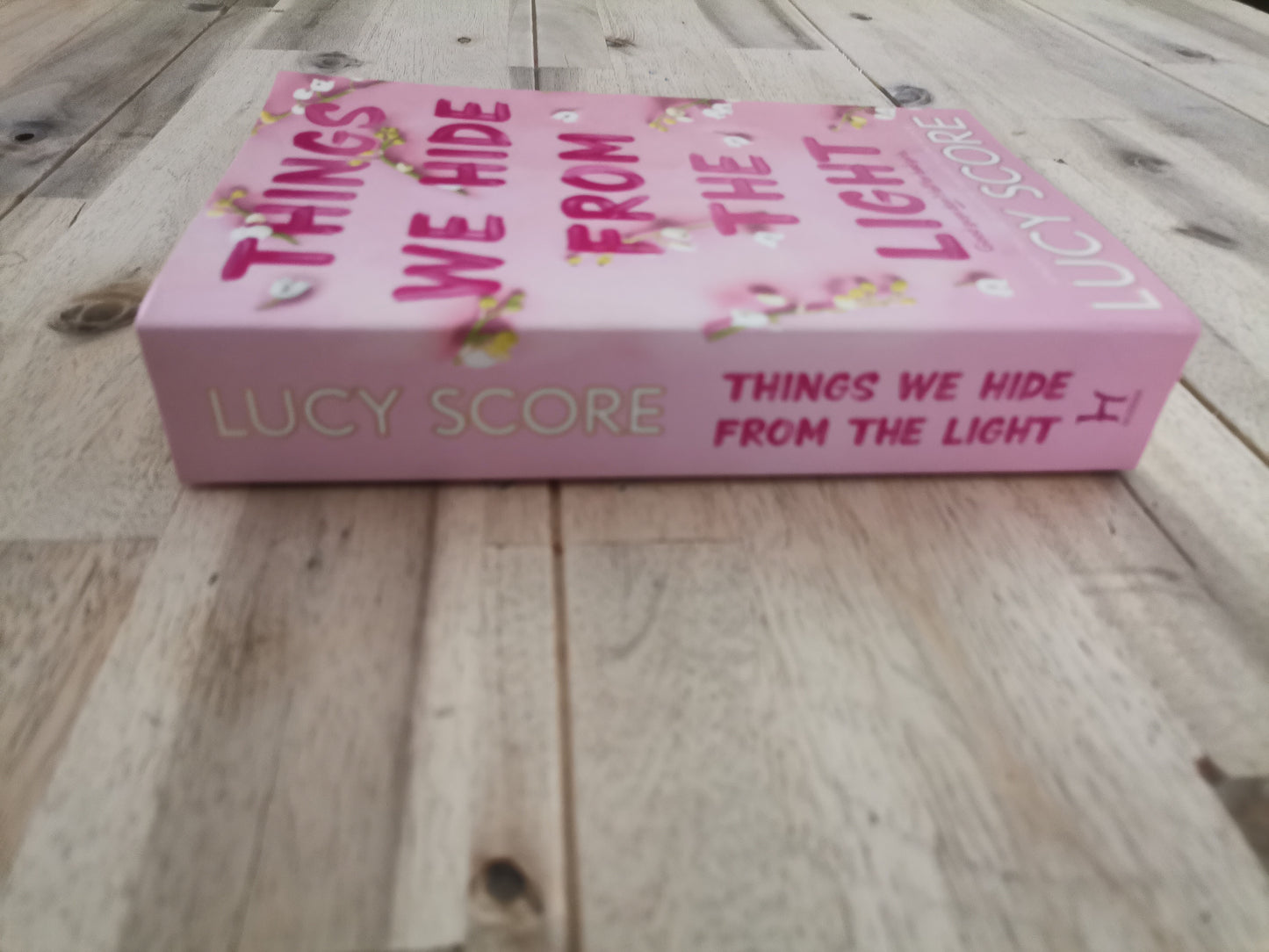 Things We Hide From the Light – Lucy Score
