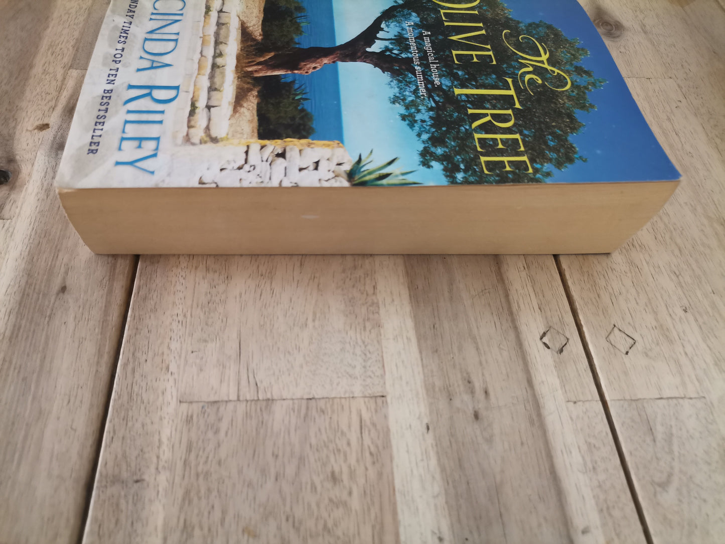 The Olive Tree by Lucinda Riley - Paperback