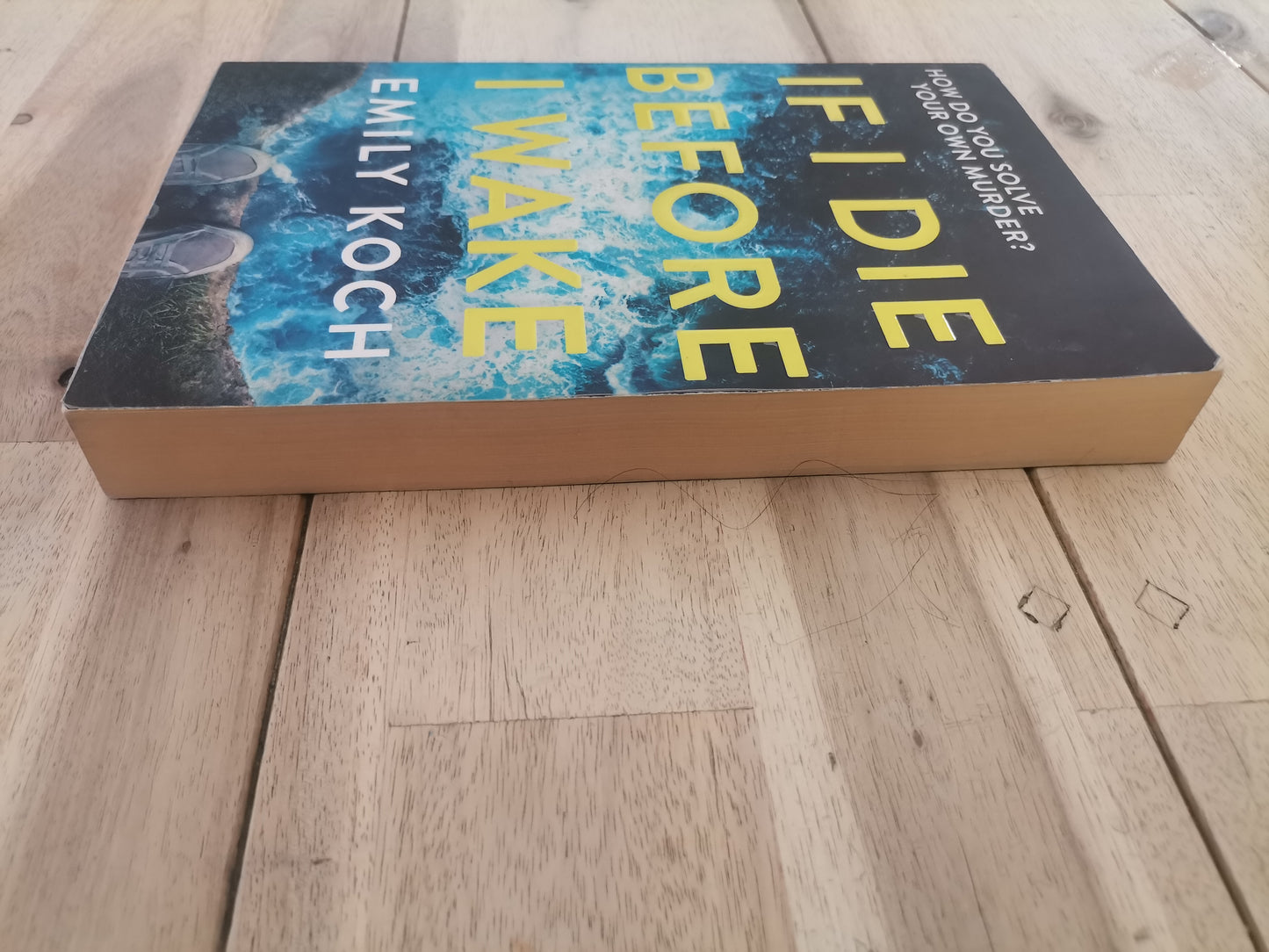 If I Die Before I Wake by Emily Koch
