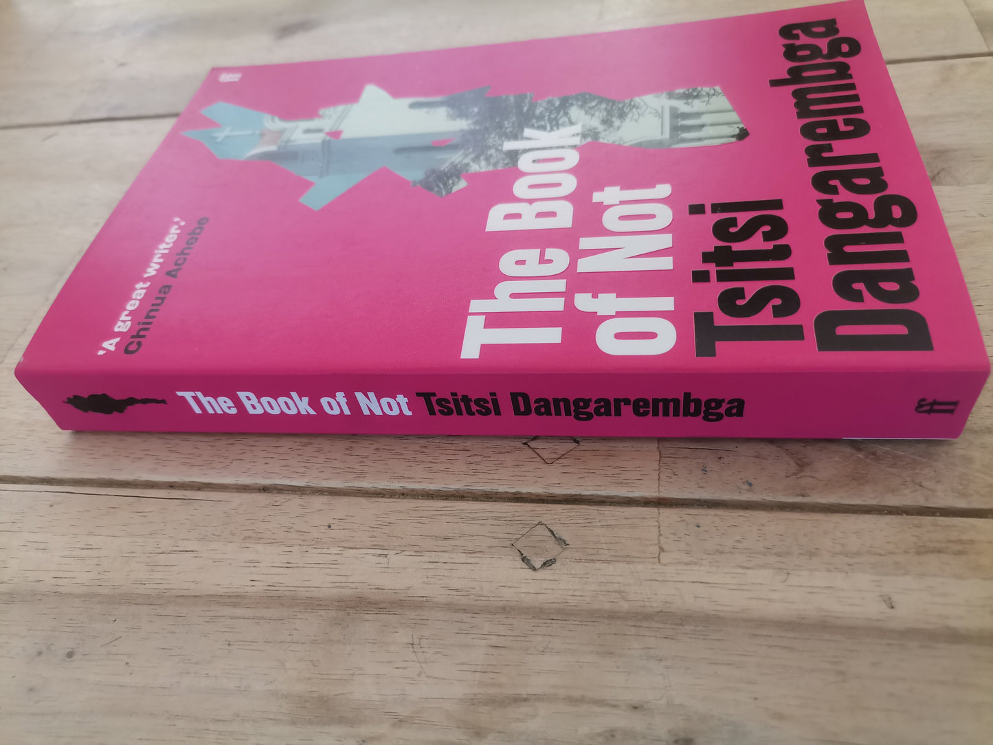 The Book of Not by Tsitsi Dangarembga