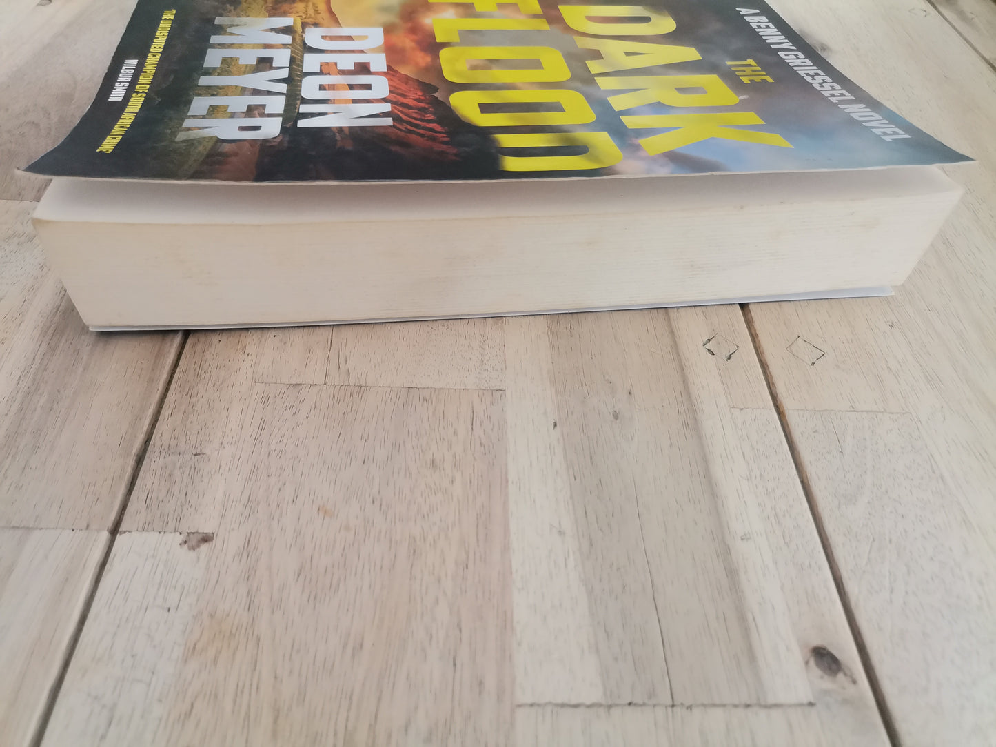 The Dark Flood by Deon Meyer