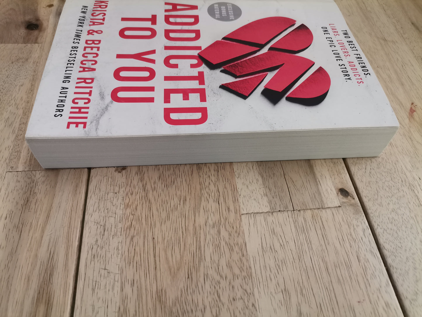 Addicted to You by Krista and Becca Ritchie - Paperback