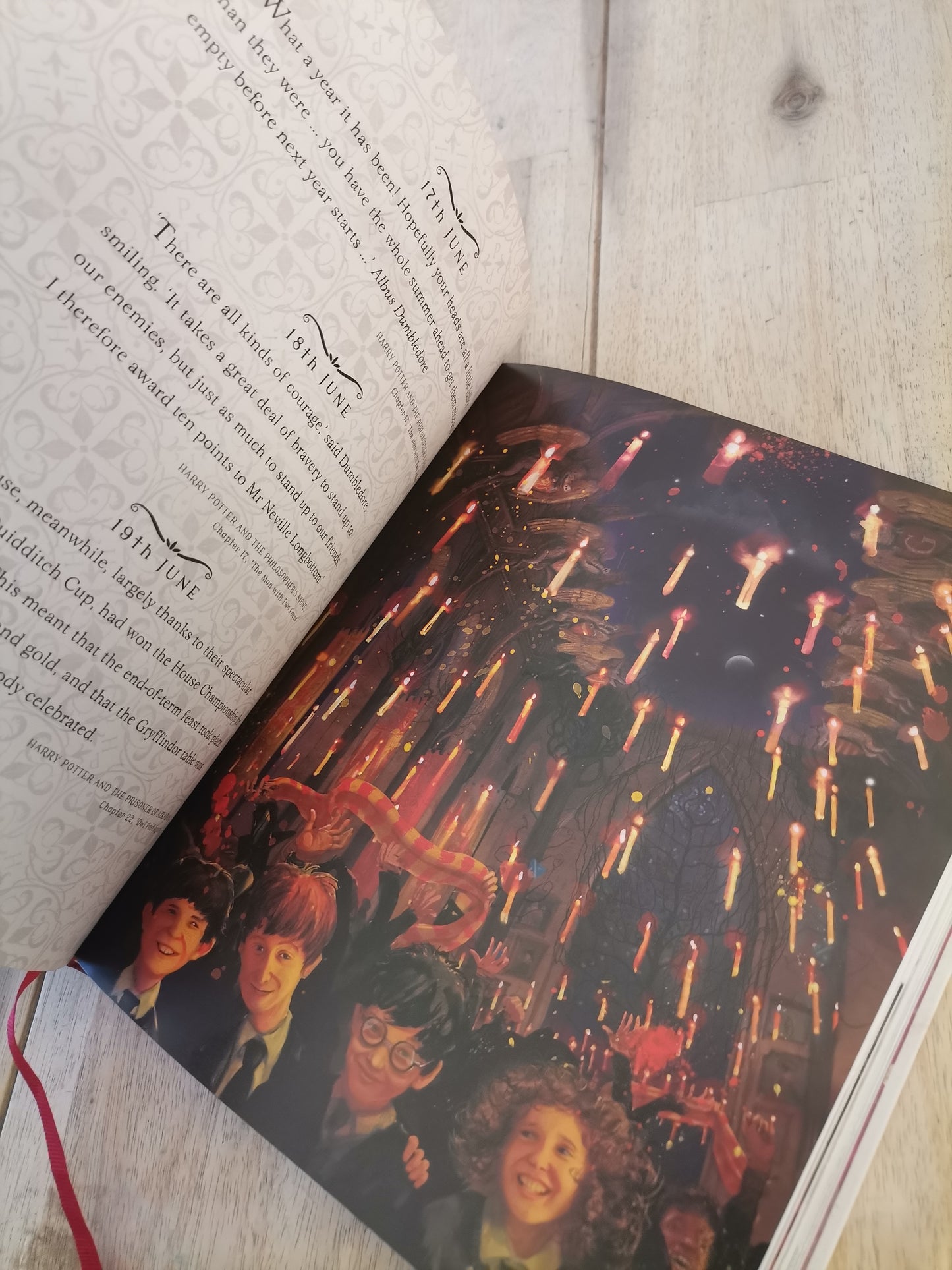 Harry Potter, A Magical Year Illustrated by Jim Kay