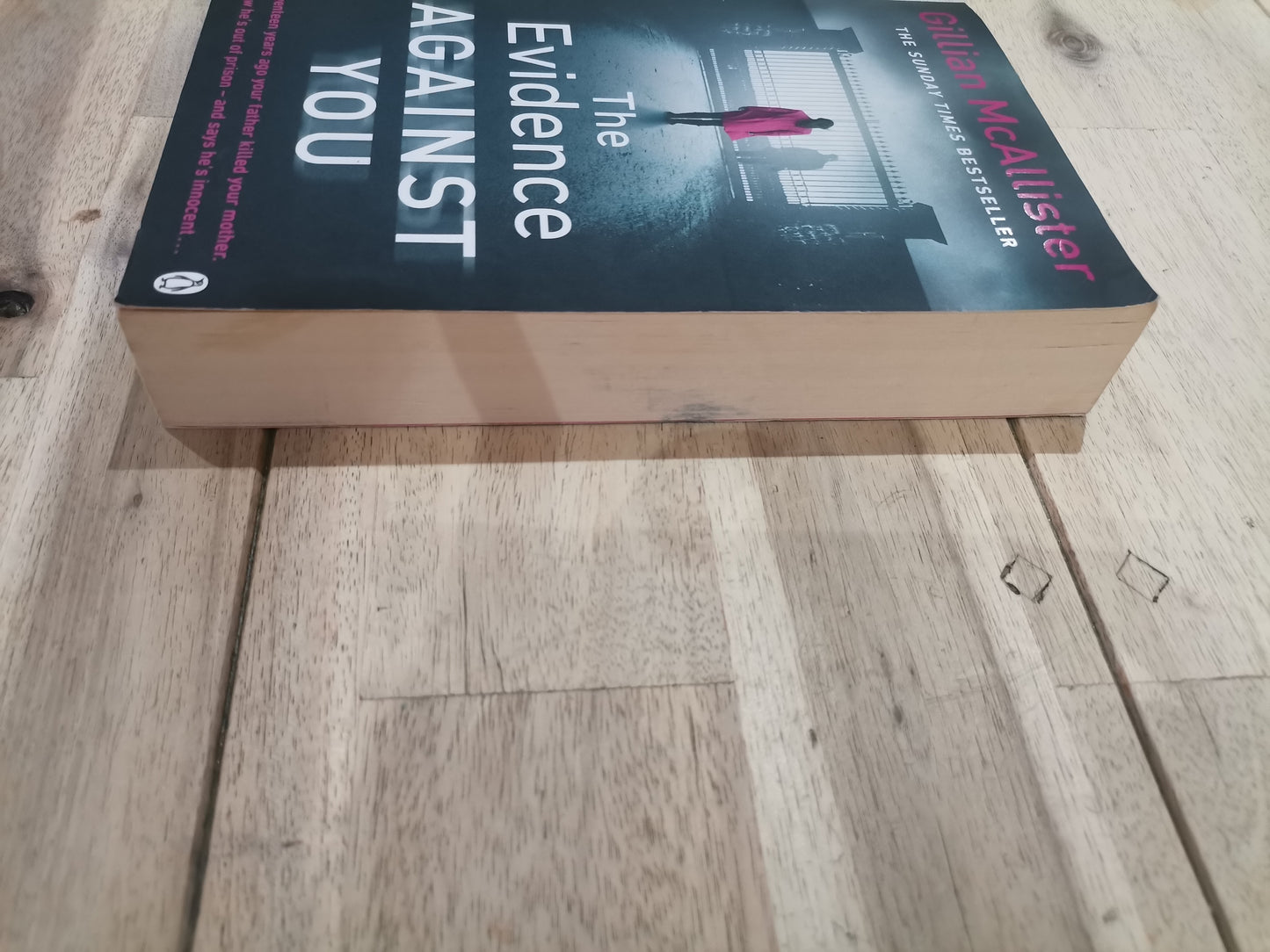 The Evidence Against You by Gillian McAllister