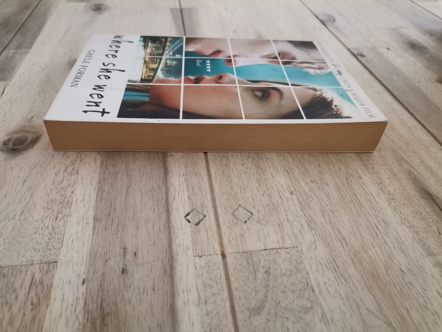 Where She Went – Gayle Forman