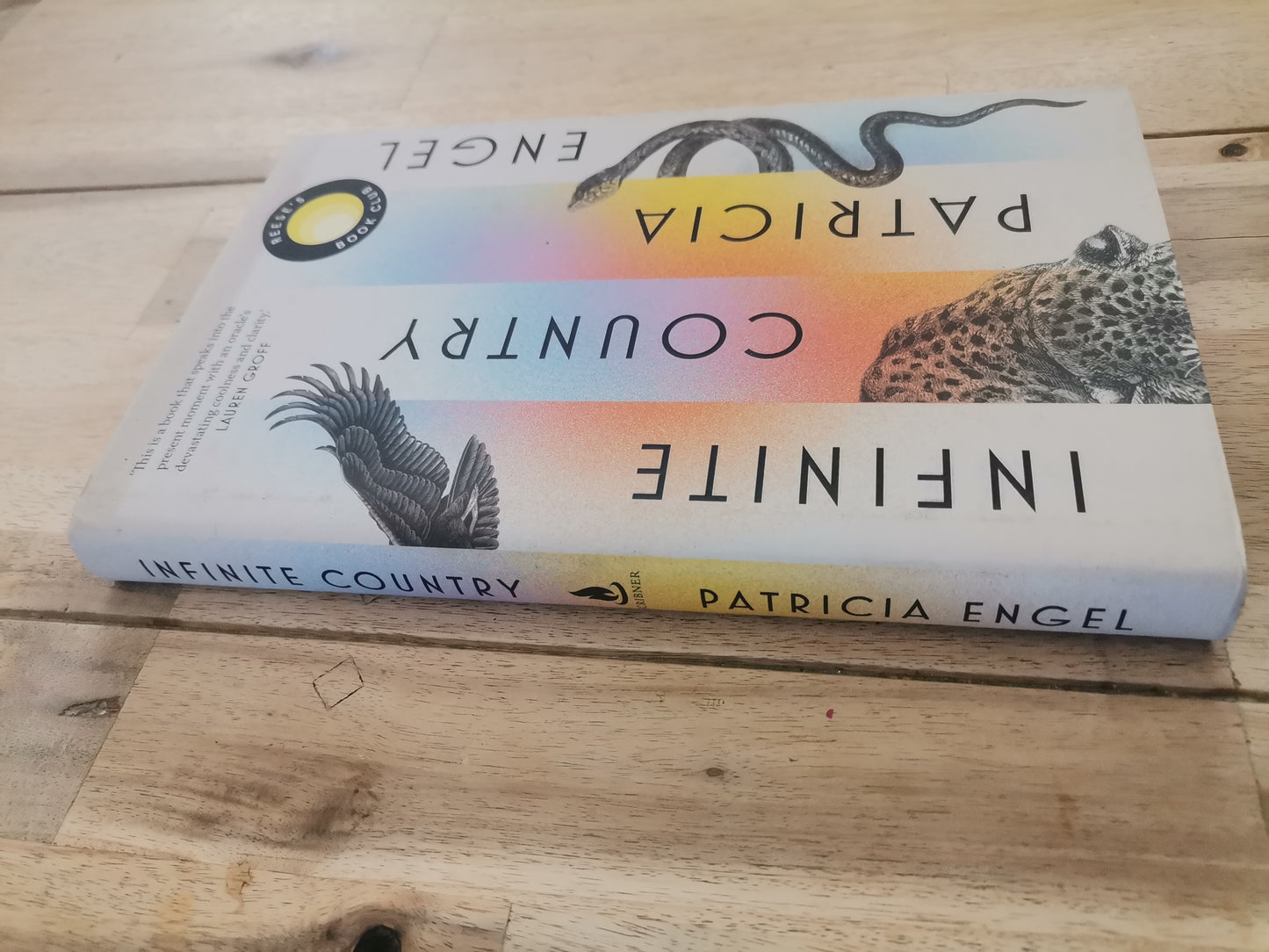 Infinite Country by Patricia Engel