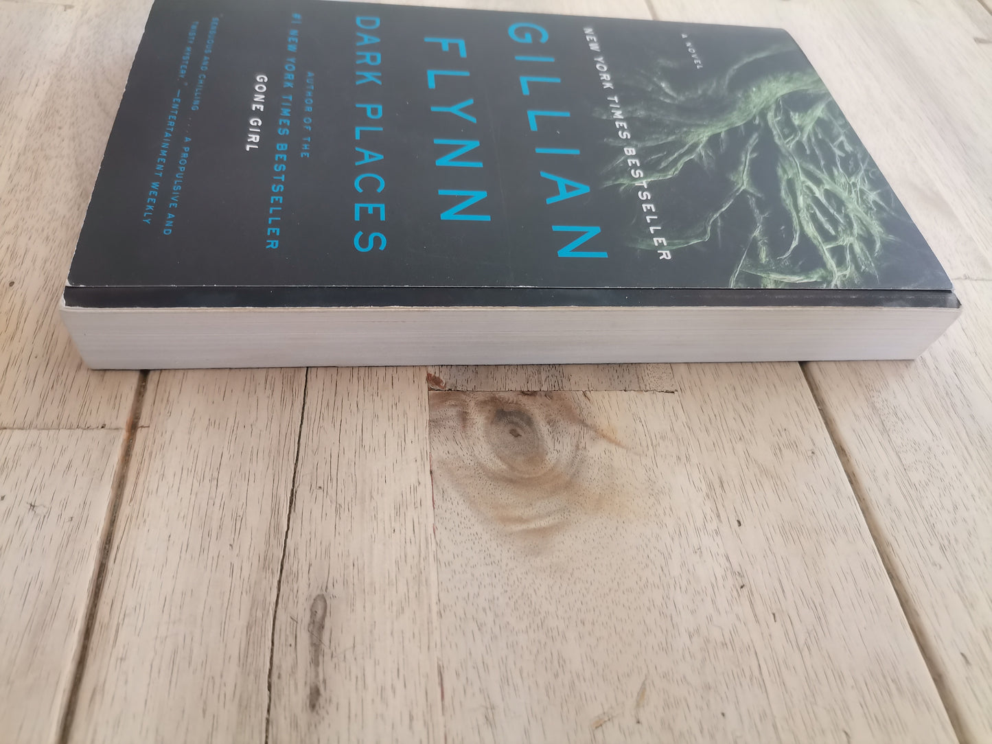 Dark Places by Gillian Flynn