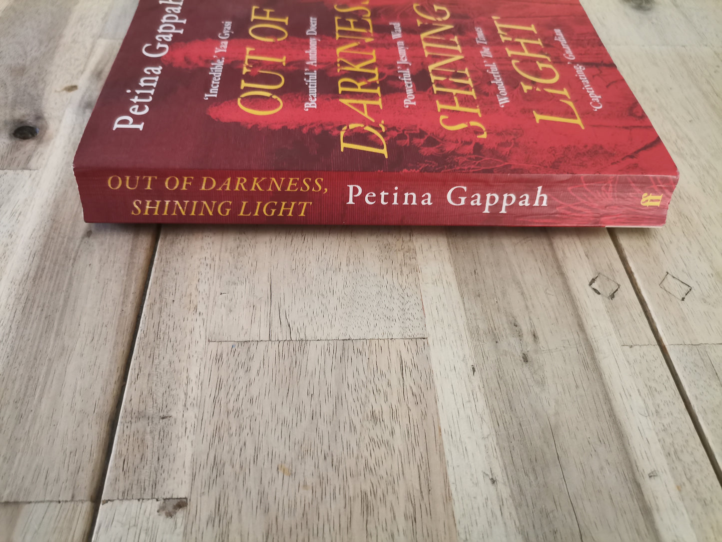 Out of Darkness, Shining Light by Petina Gappah