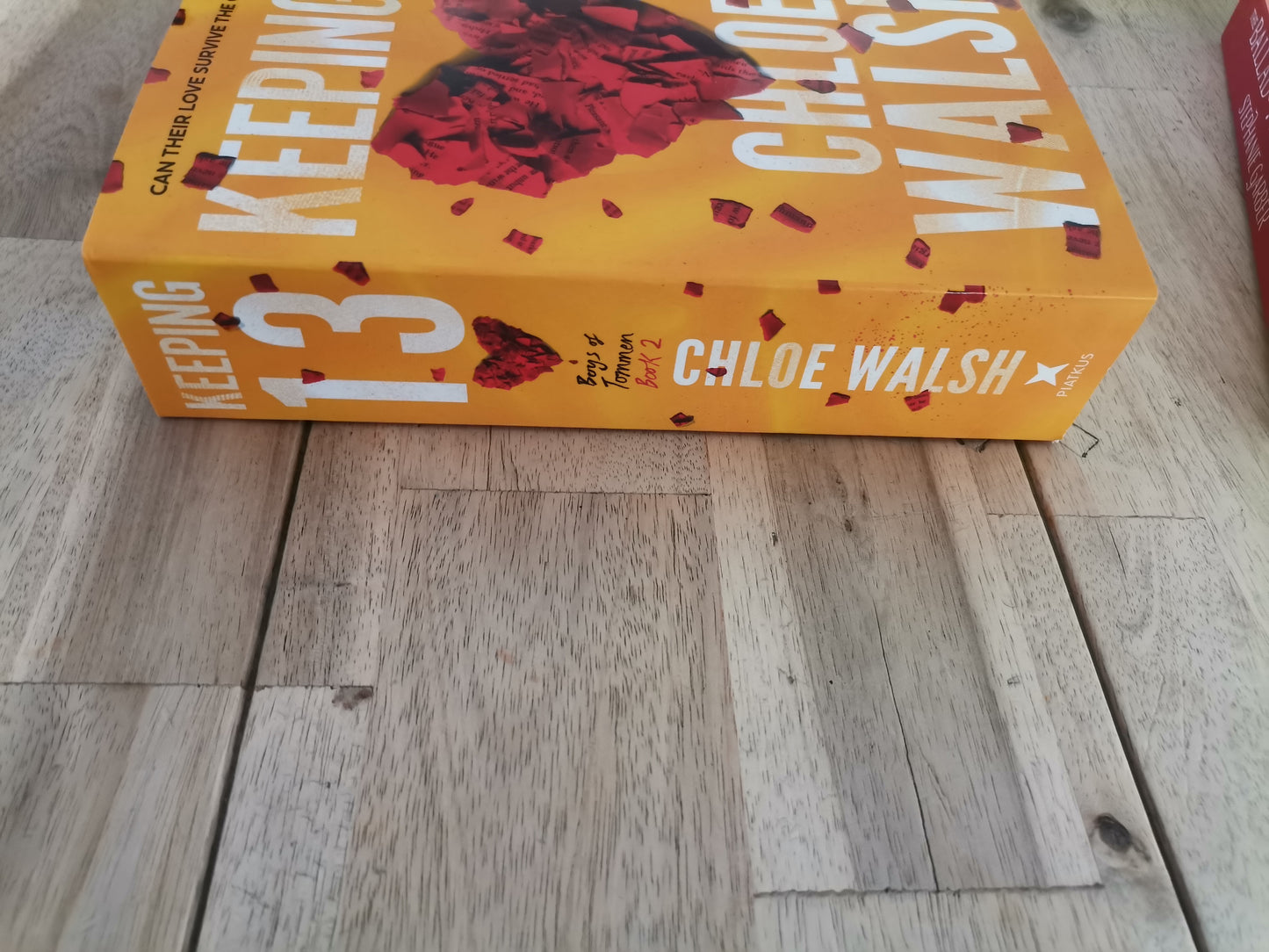 Binding 13 by Chloe Walsh