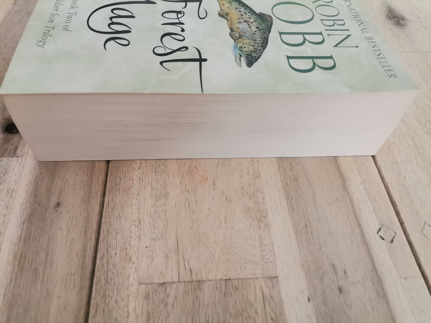 Forest Mage by Robin Hobb (Book 2 The Soldier Son Trilogy)