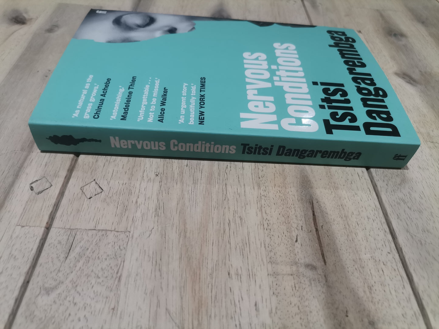 Nervous Conditions by Tsitsi Dangarembga