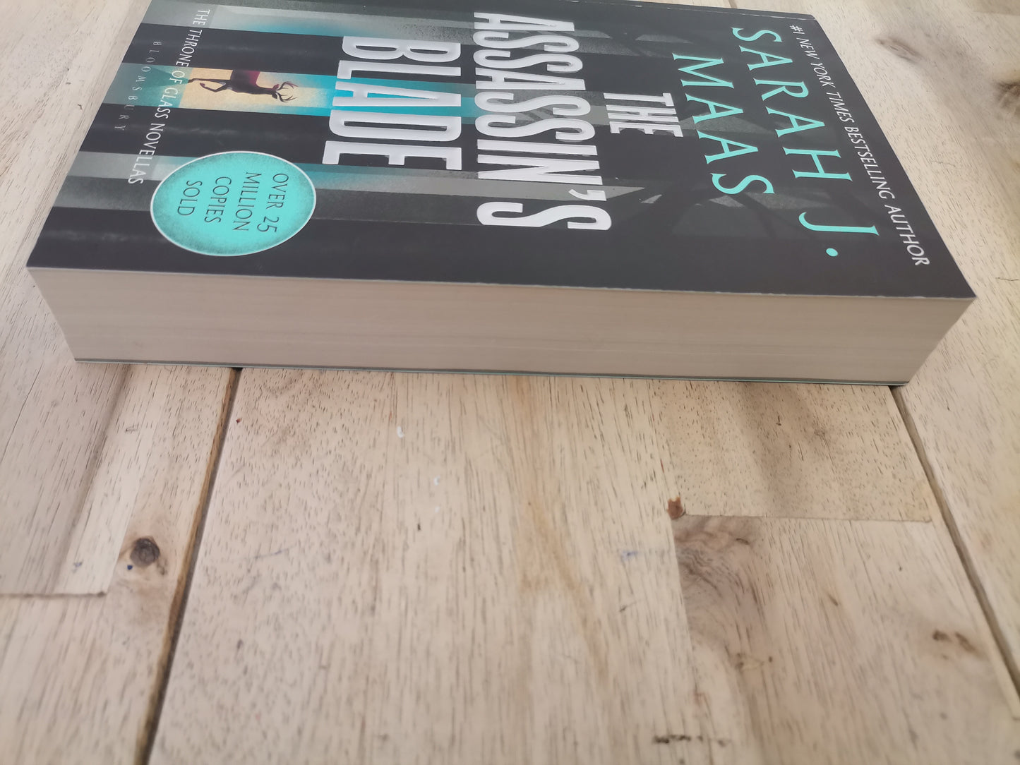 The Assasins Blade by Sarah J Mass