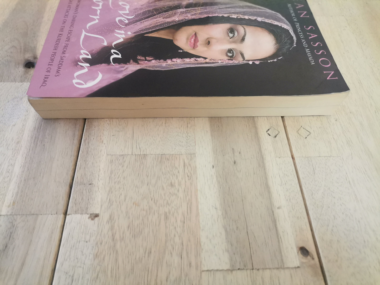 Love in a Torn Land - Jean Sasson