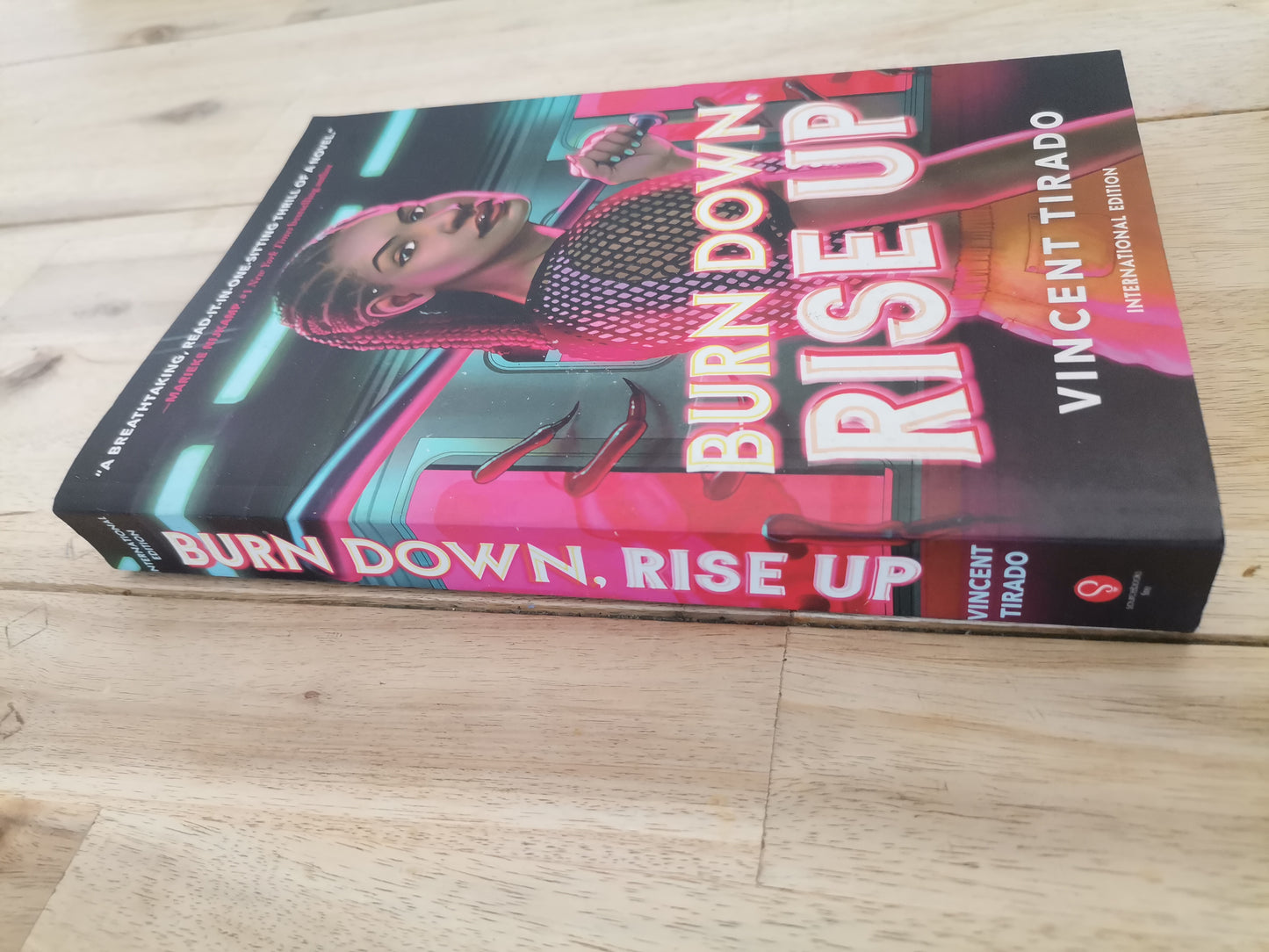 Burn Down Rise Up Vincent Tirado