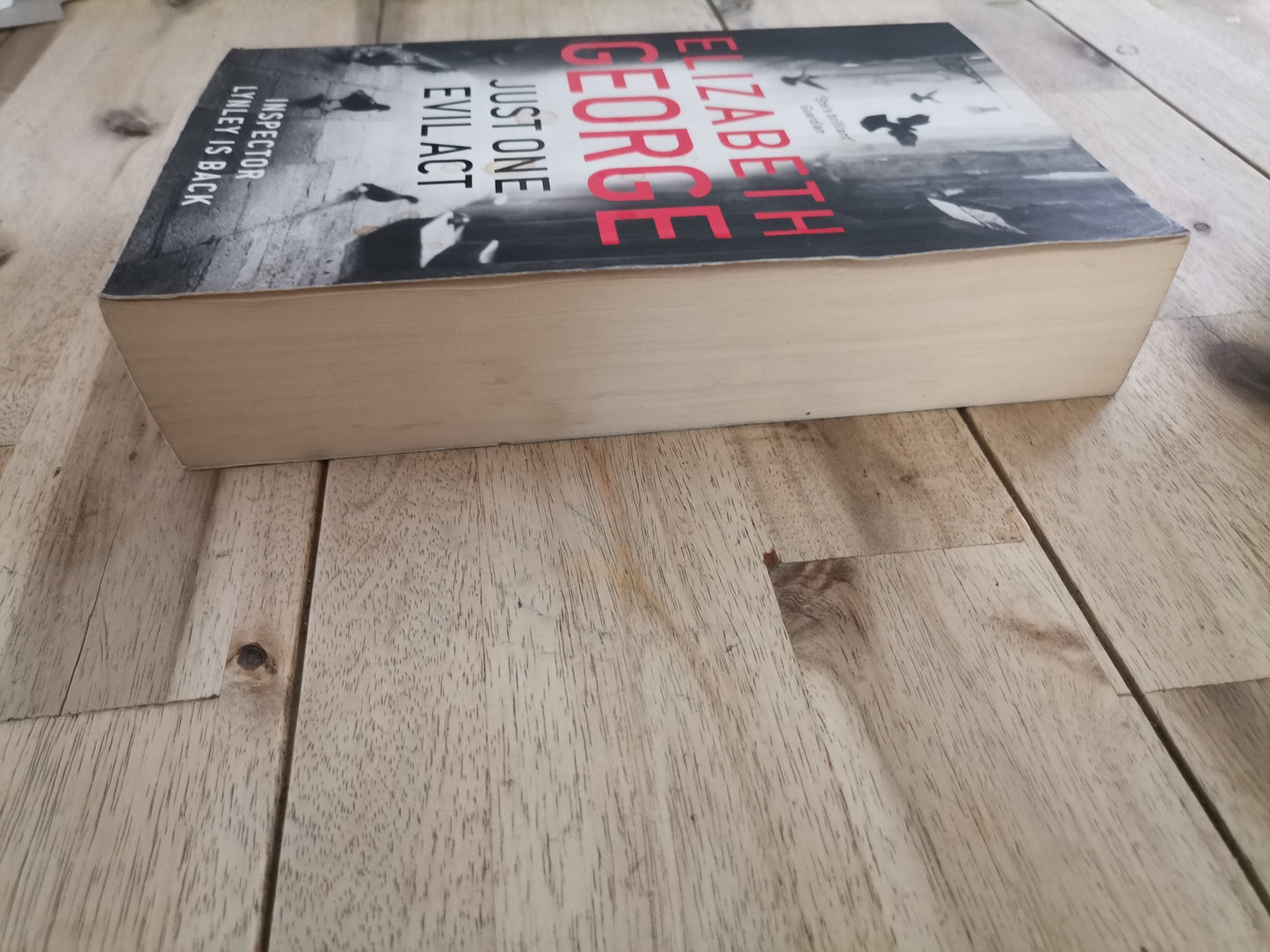 Just One Evil Act – Elizabeth George
