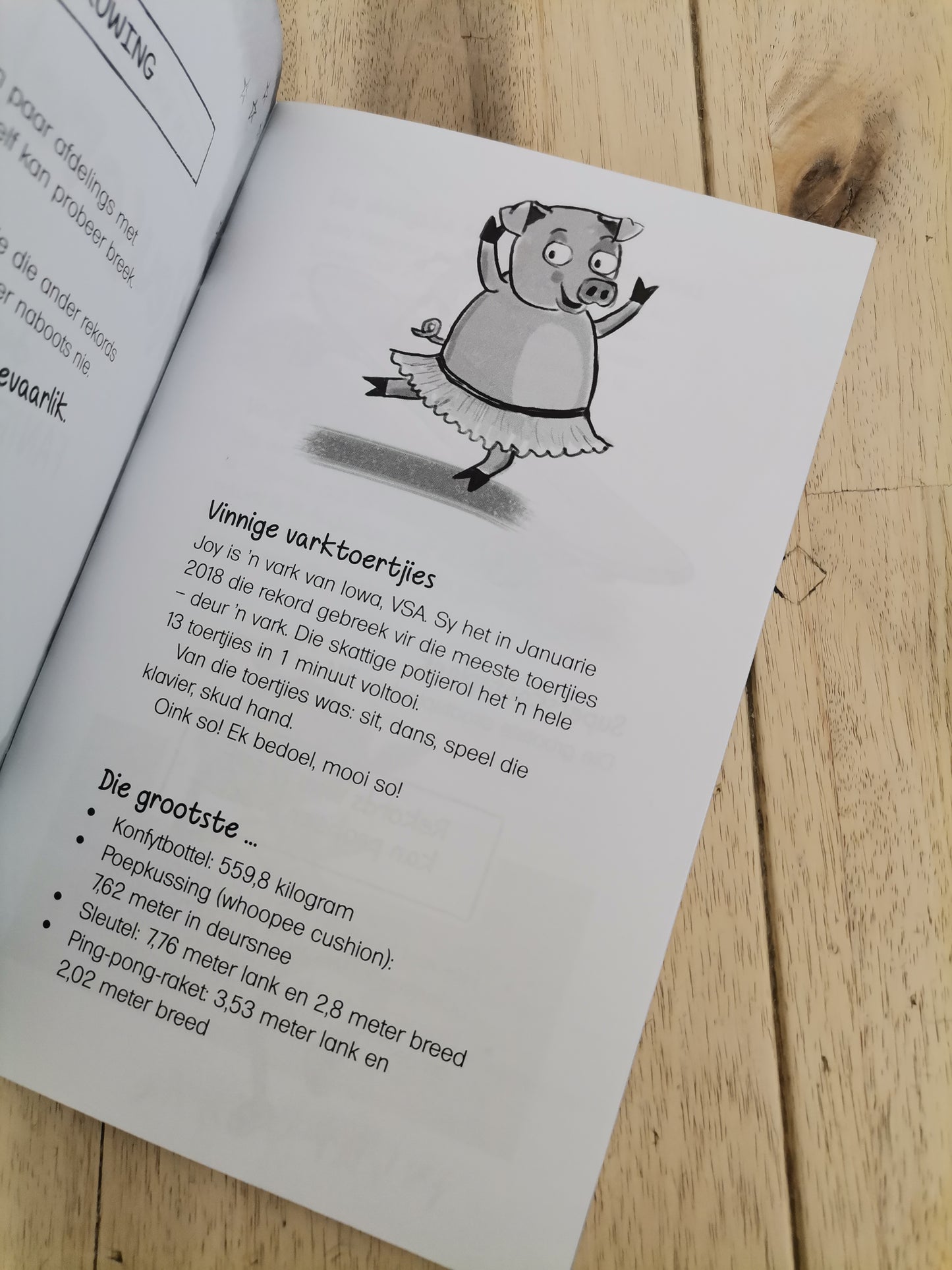Die Klein Boek Reuserekords by Fanie Viljoen