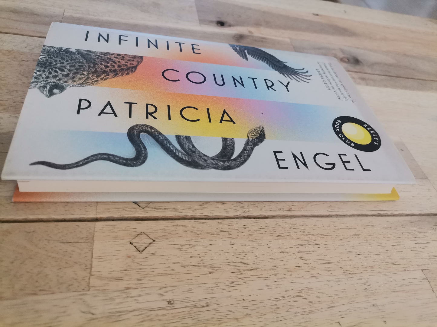Infinite Country by Patricia Engel
