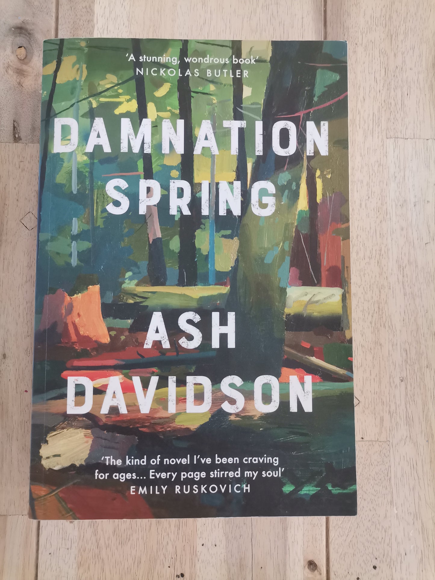 Damnation Spring by Ash Davidson