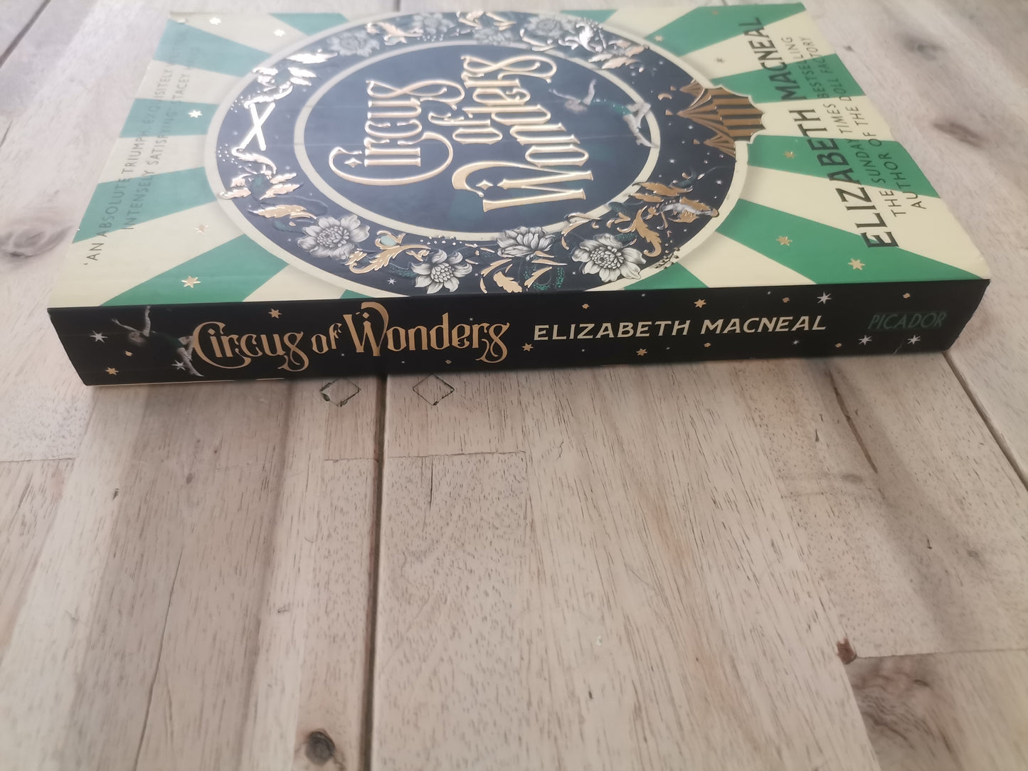 Circus of Wonders by Elizabeth Macneal