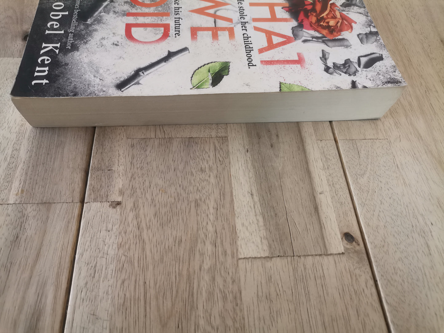 What We Did by Christobel Kent