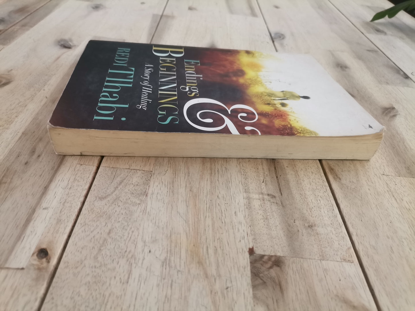 Endings and Beginnings – Redi Tlhabi