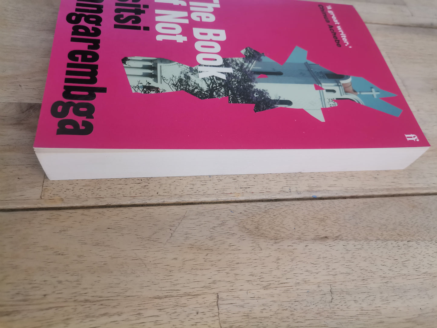 The Book of Not by Tsitsi Dangarembga